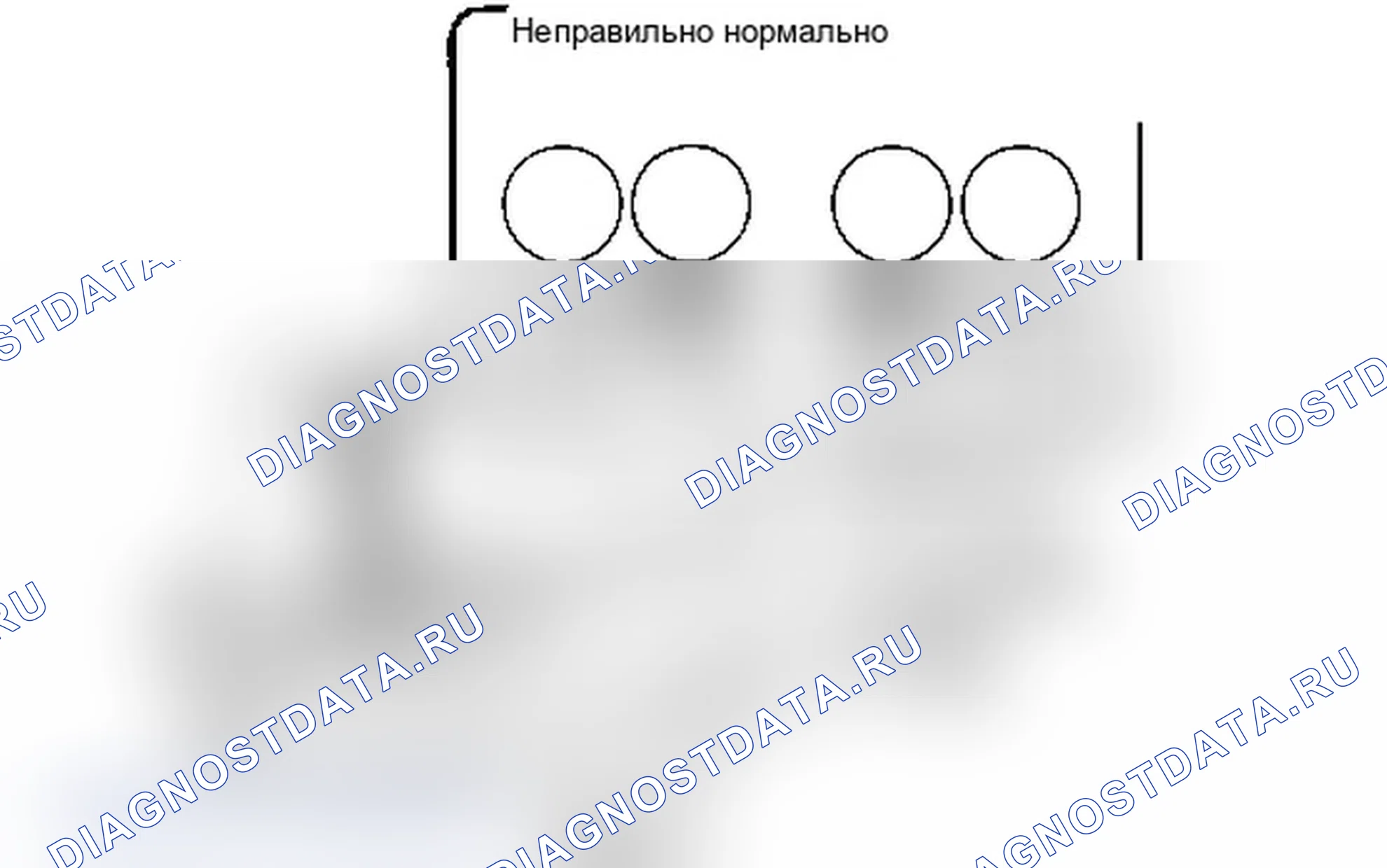 Рис. 22. Lexus IS F I