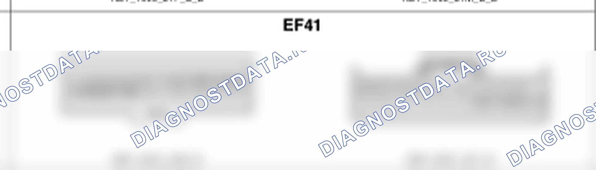 Распиновка разъёма EF41 — harness connectors. Hyundai Genesis BH