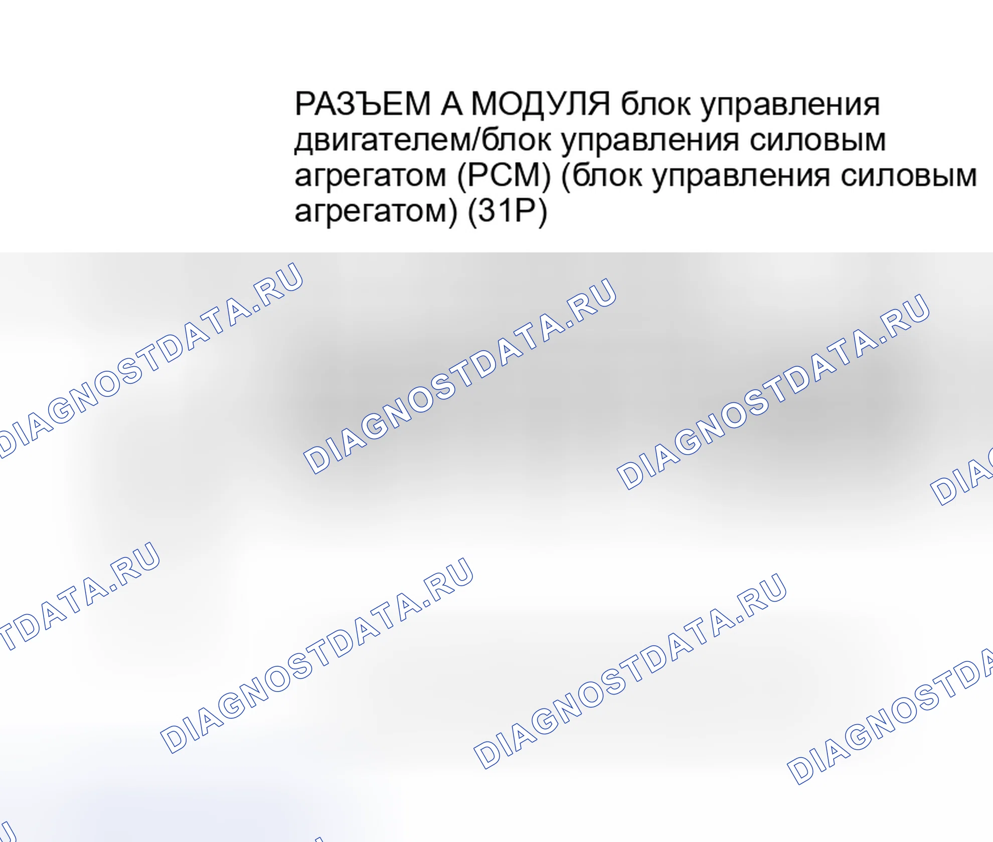 Рис. 228: P0325 расшифровка кода ошибки: неисправность цепи датчика детонации (модели 2005-2006 гг.). Acura RSX I
