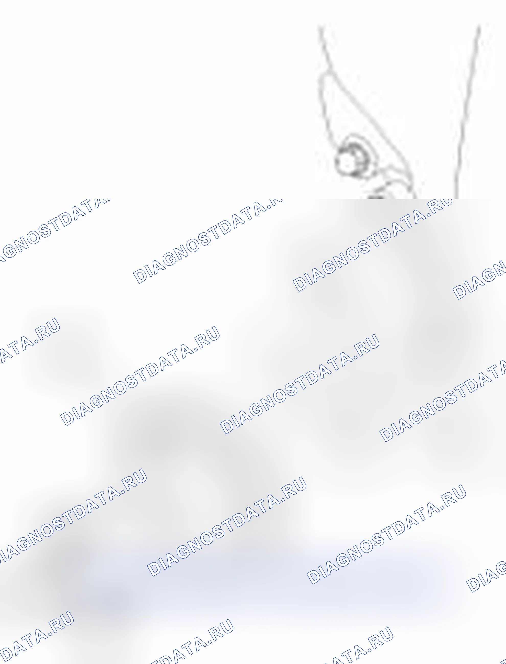 Рис. 48. Haval Beast (Shenshou) I