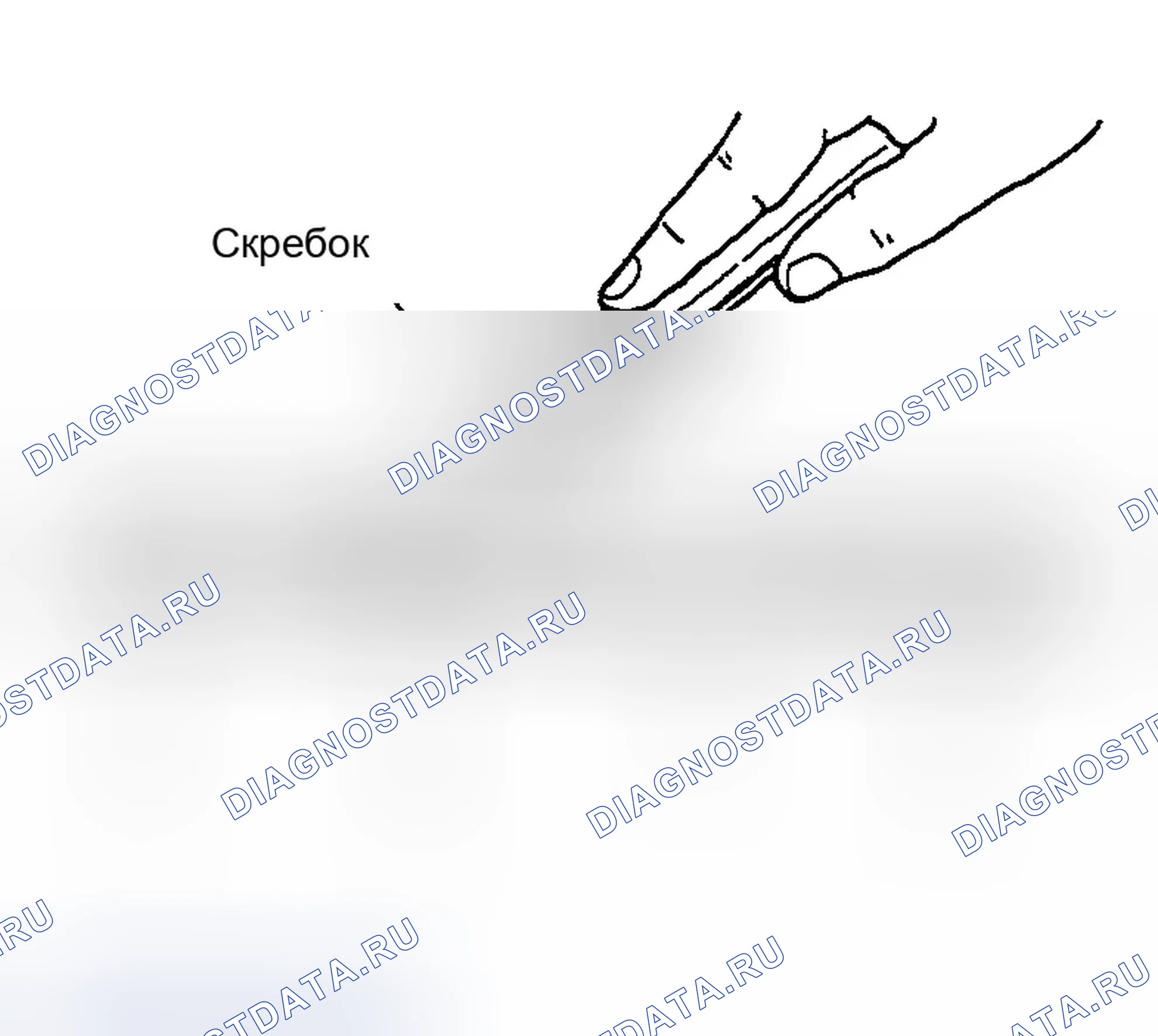 Рис. 2: Процедура применения жидкостной прокладки. Infiniti M45 II