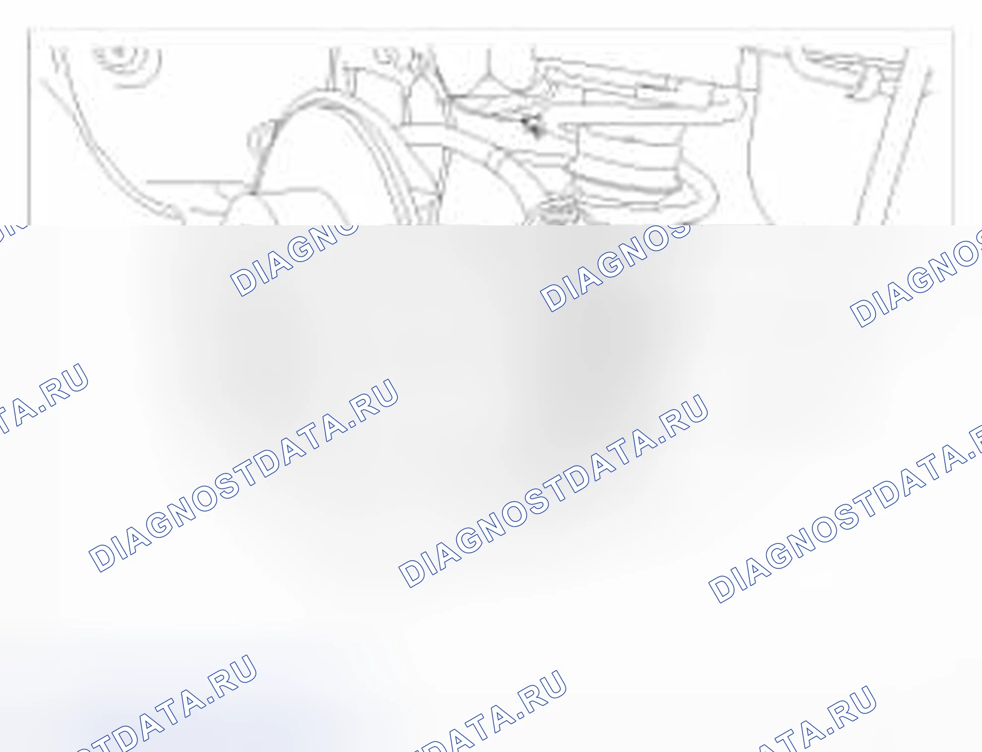 Рис. 134. BMW 6 серия F06/F13/F12