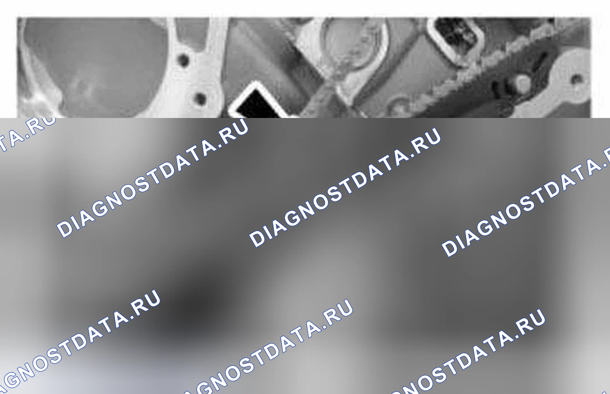 Рис. 1136. Ford Mustang V рестайлинг