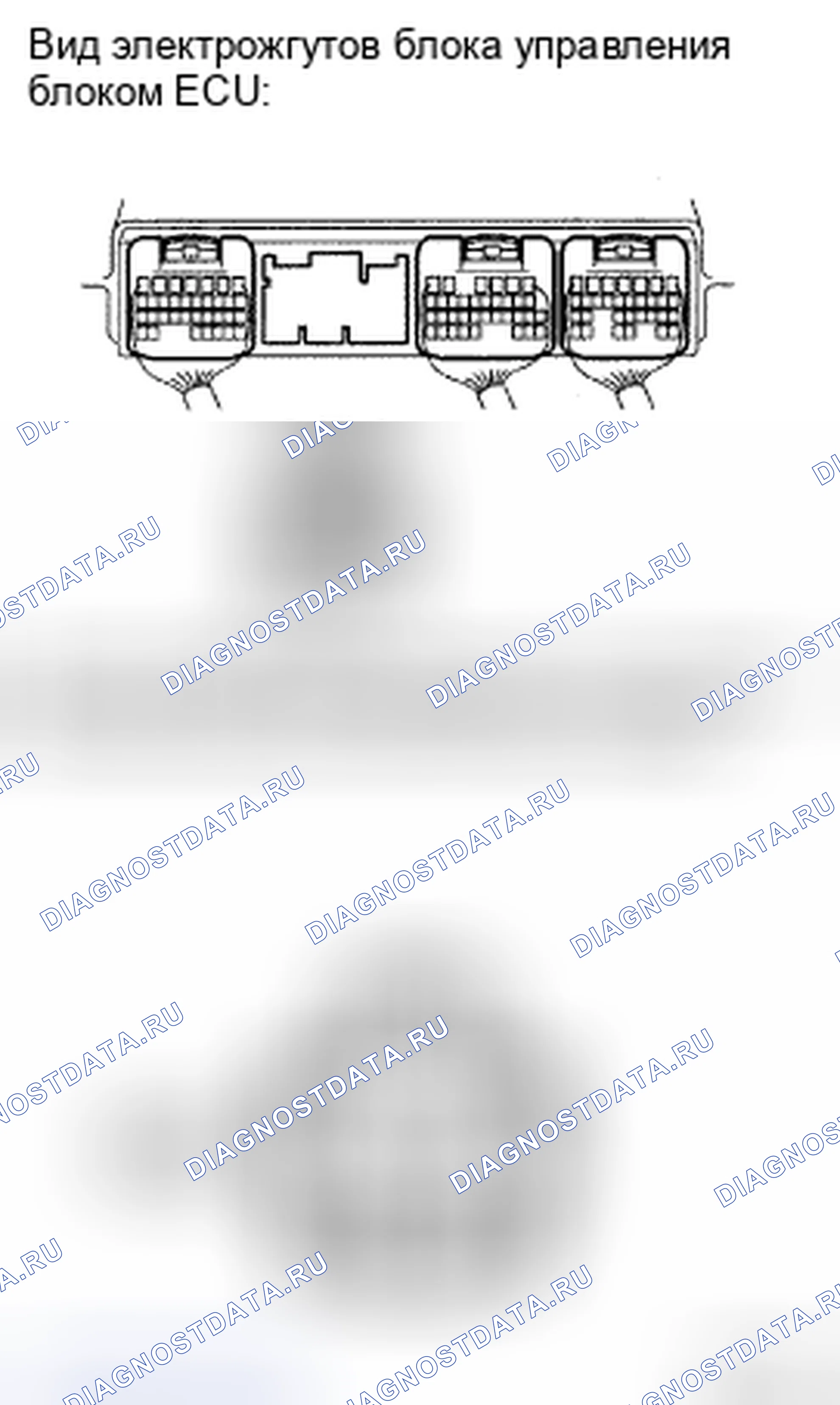 Рис. 82. Toyota Camry XV40