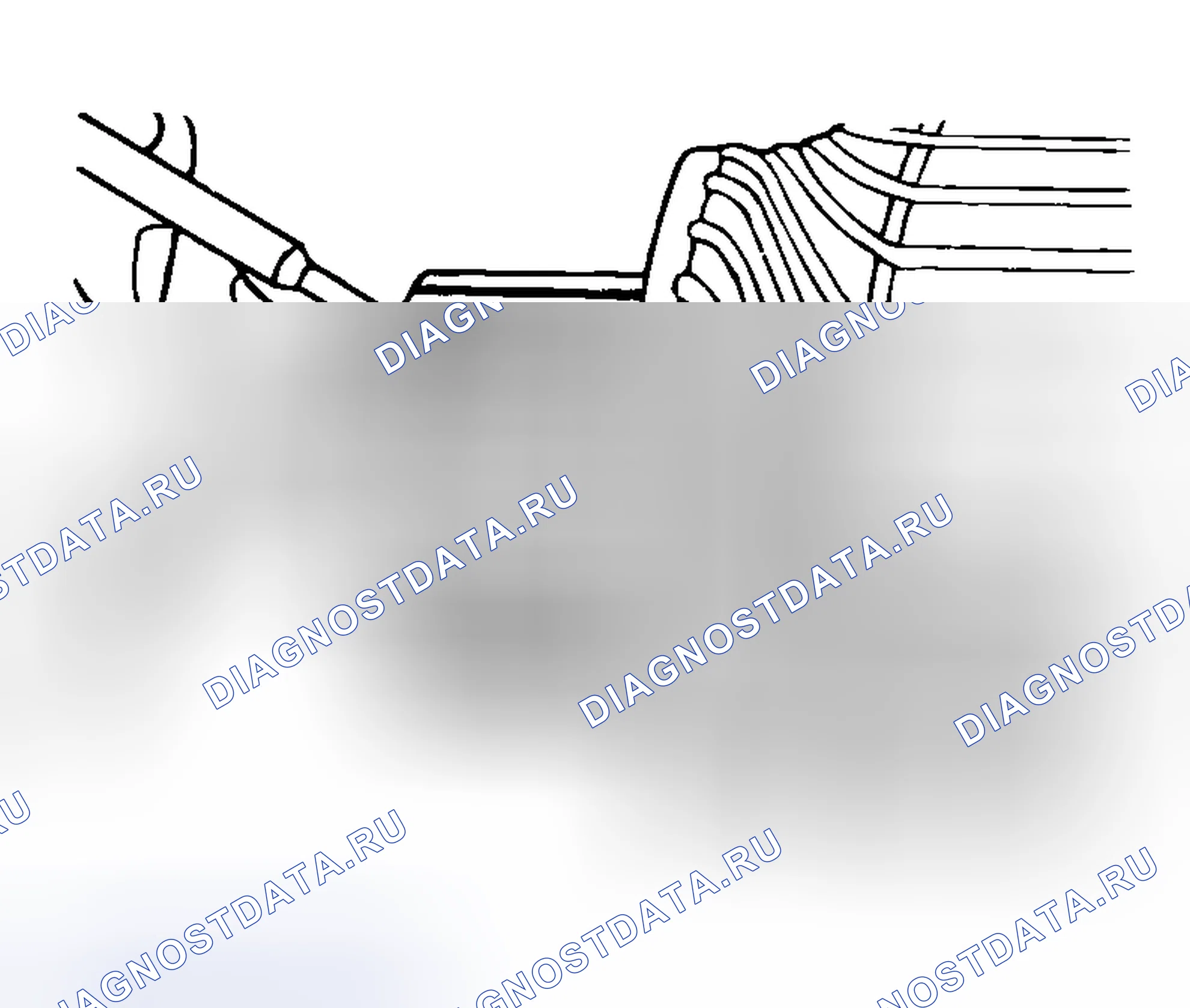 Рис. 24. Honda Envix I