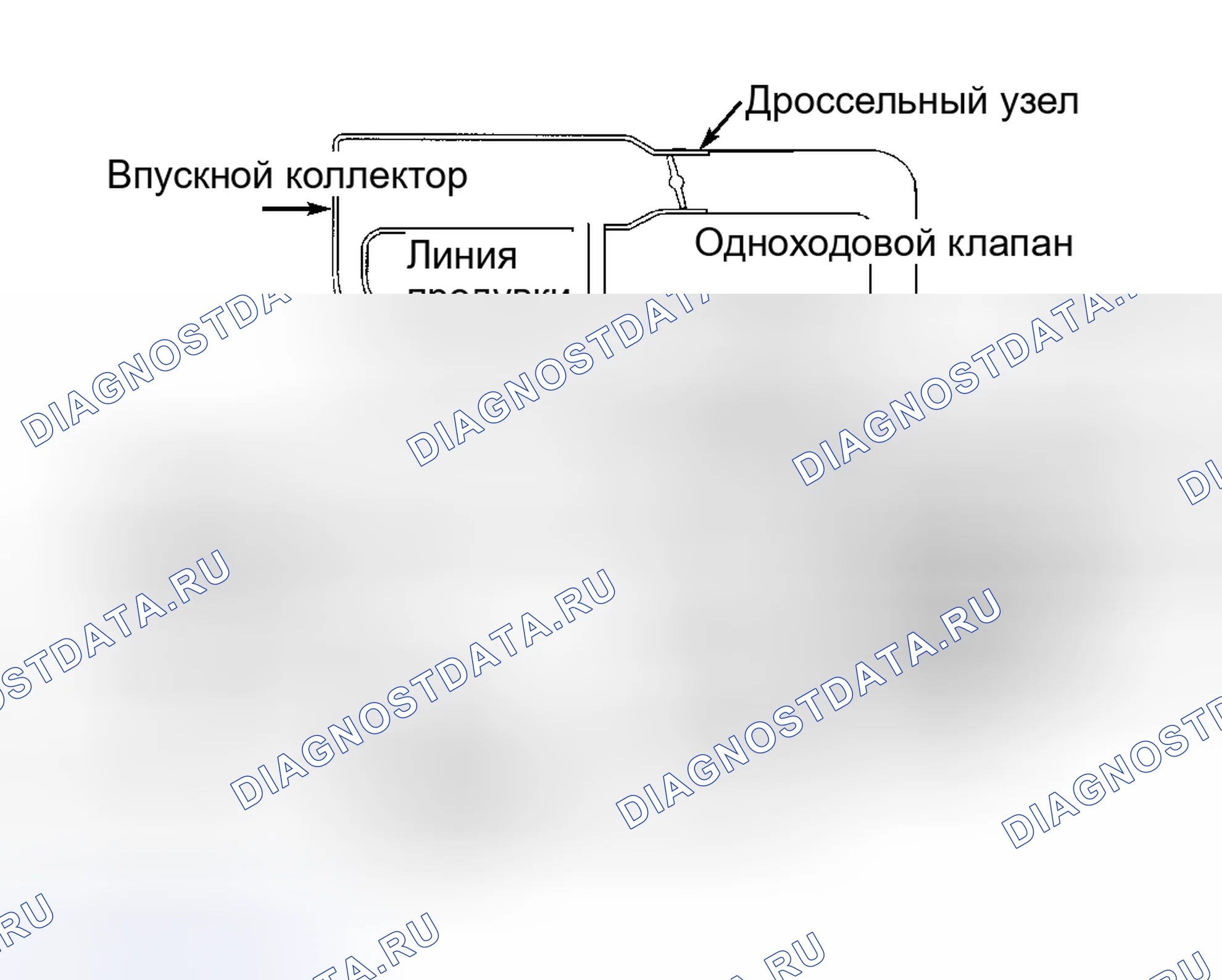 Рис. 6. Nissan Altima L30