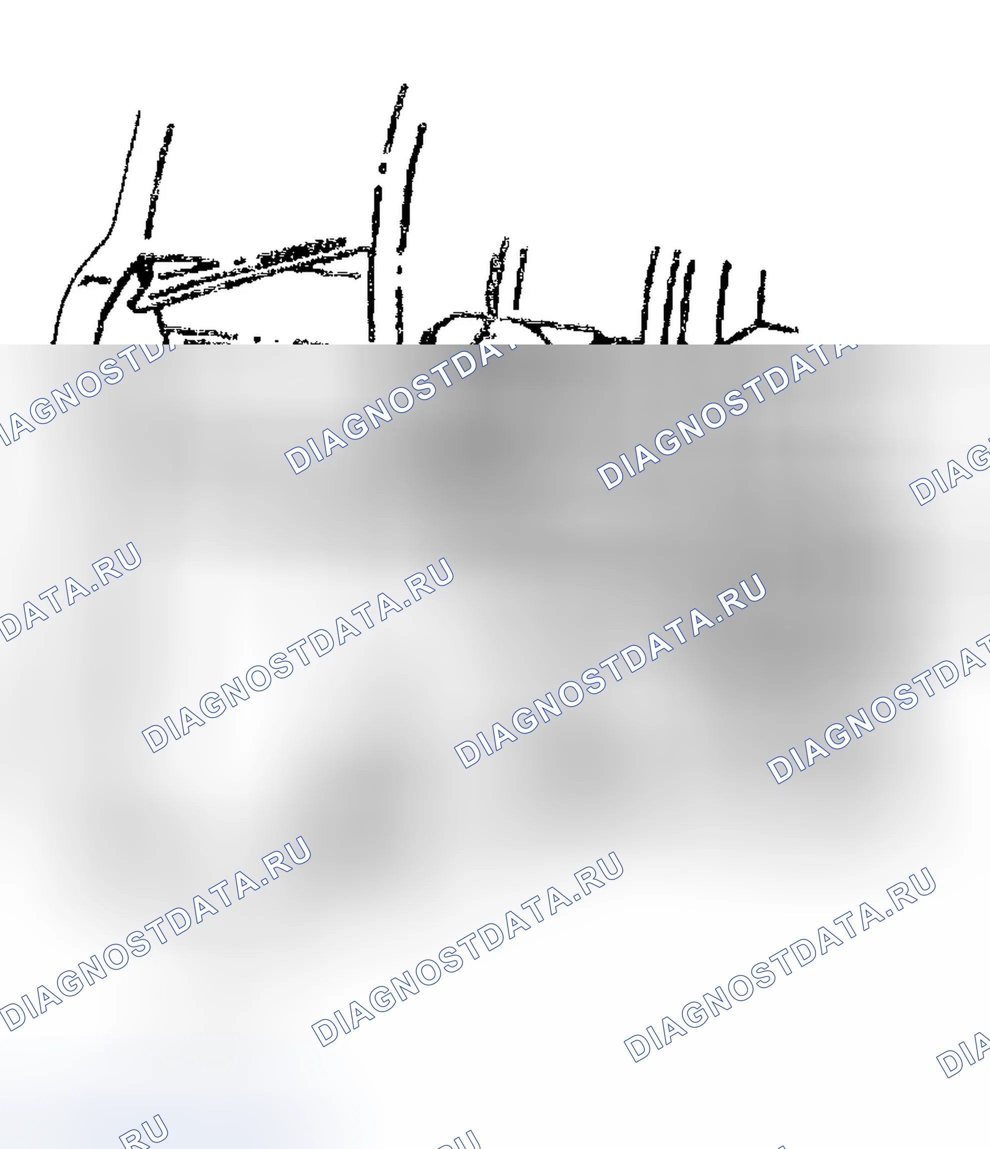 Рис. 1159. Chevrolet Silverado 1500 HD 