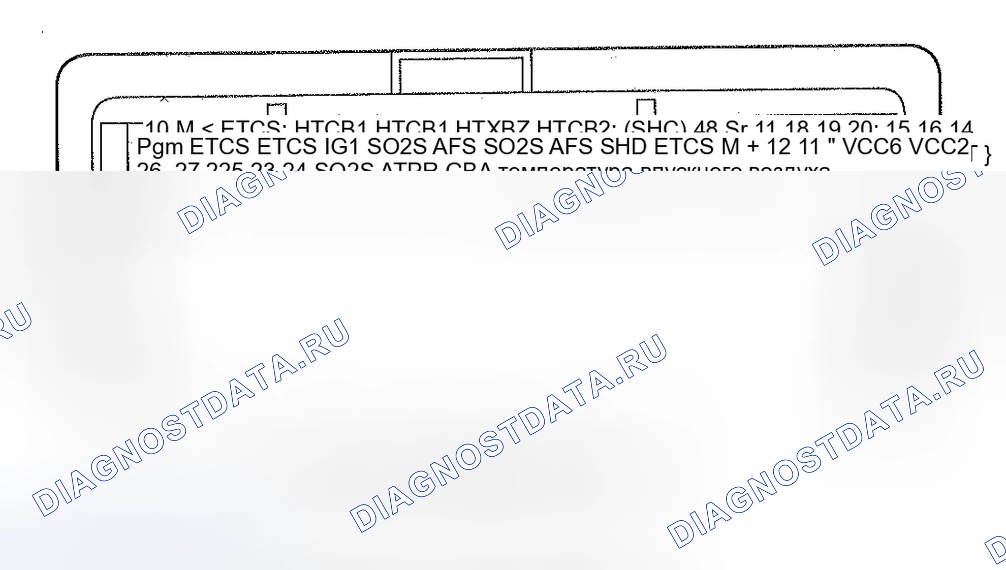 Рис. 15: Входы и выходы ИКМ на разъеме C (o) (49P). Honda Ridgeline I рестайлинг