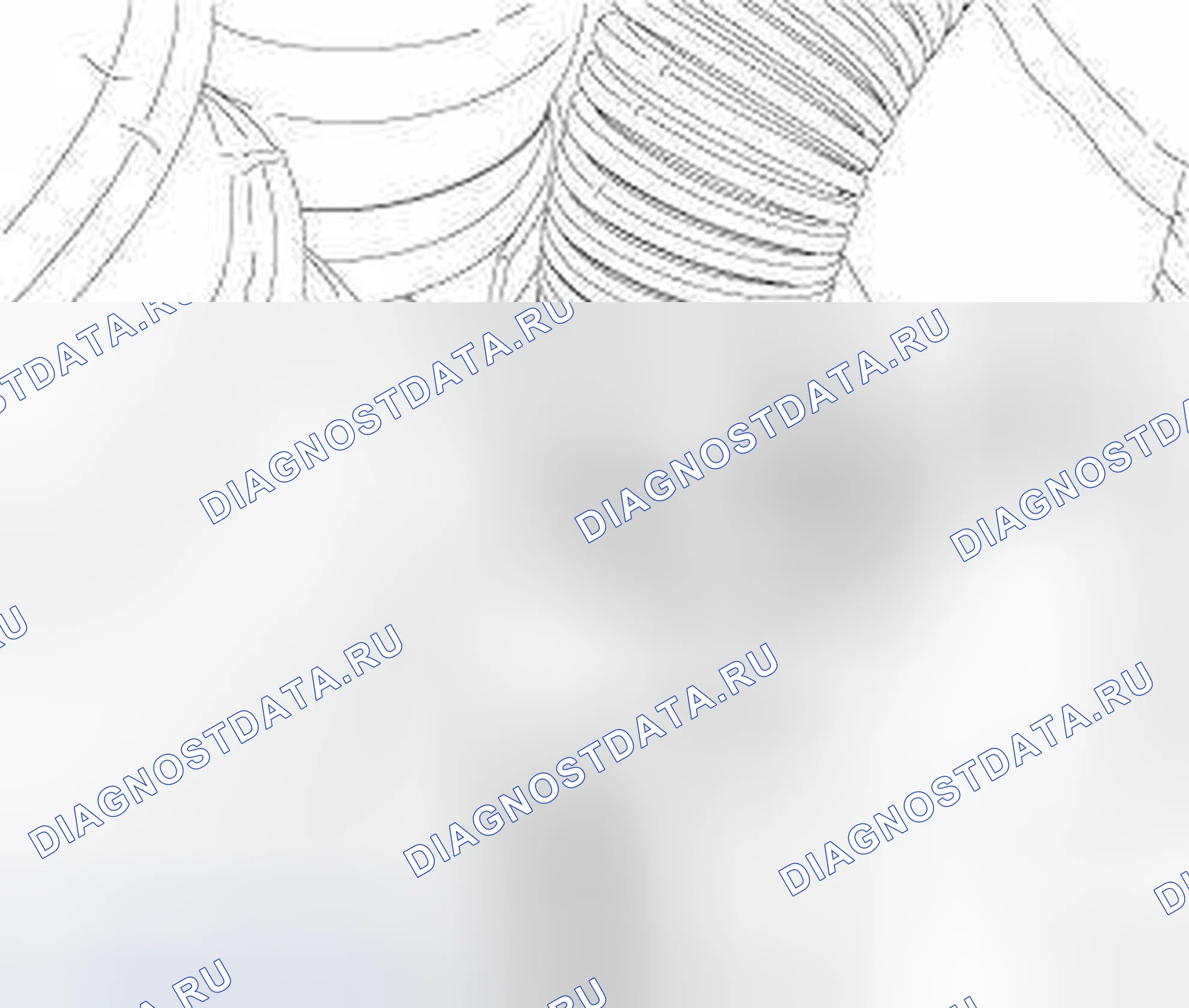 Рис. 182. Jeep Liberty II