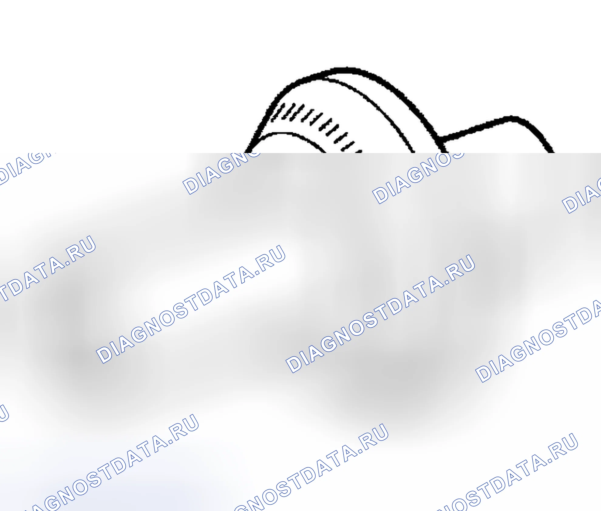 Рис. 103. Haval Chitu I