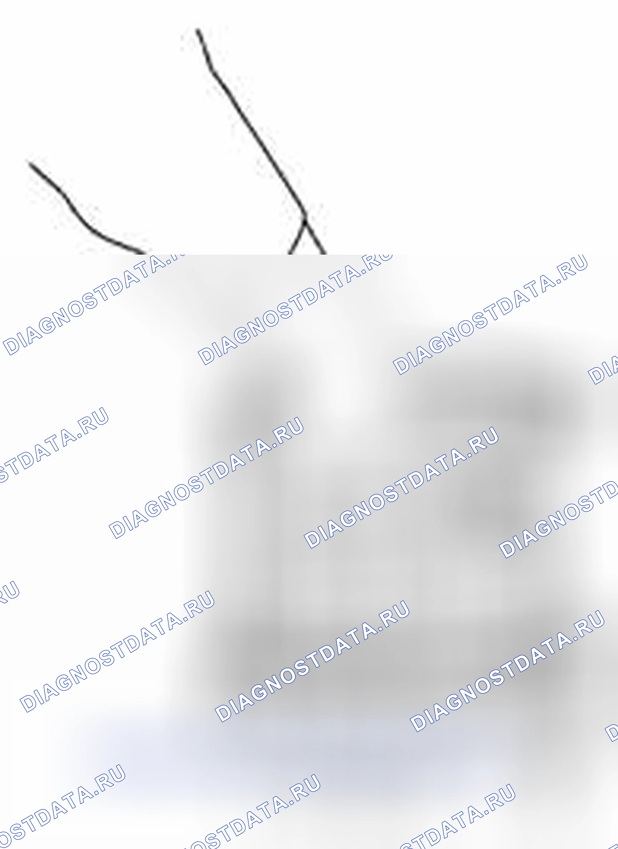 Рис. 26. Suzuki Equator I
