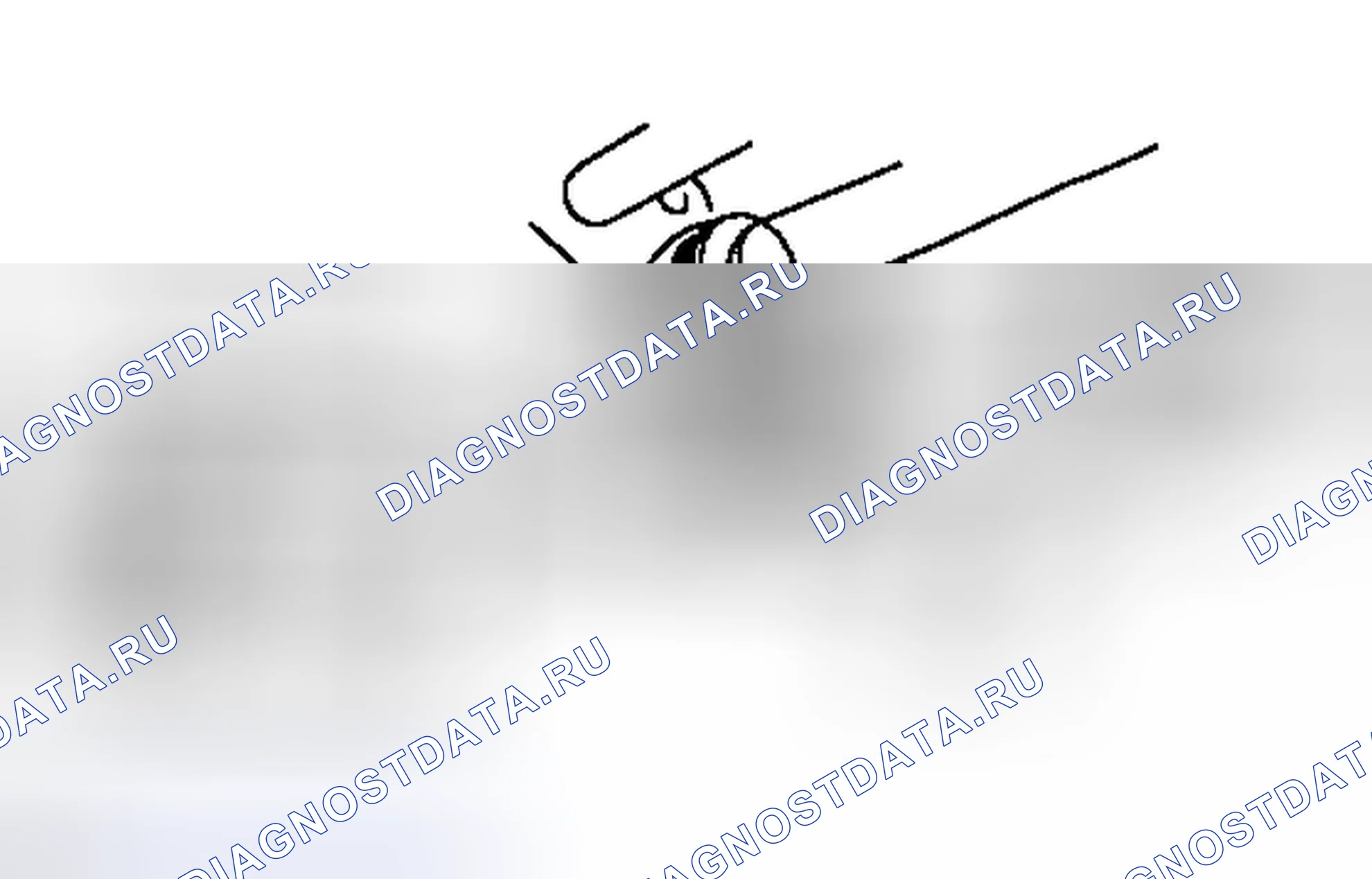 Рис. 44. Haval H4 I