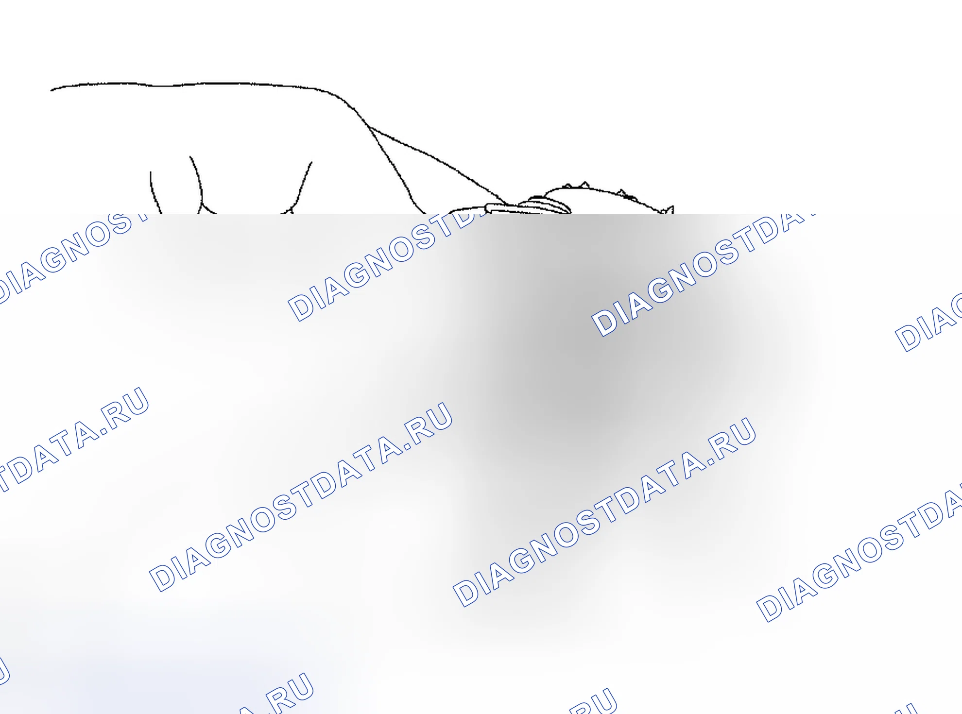 Рис. 53. Toyota Tacoma II