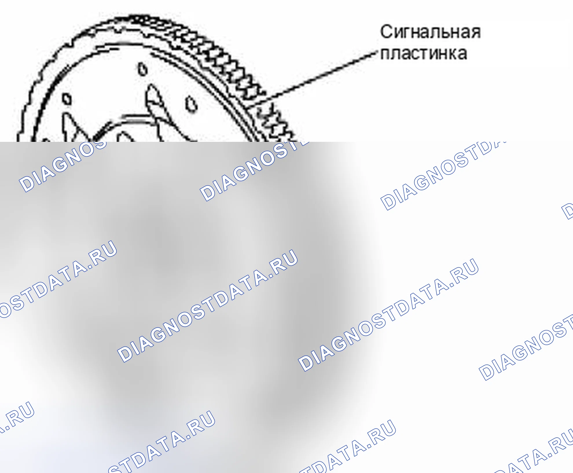 Рис. 101. Suzuki Equator I