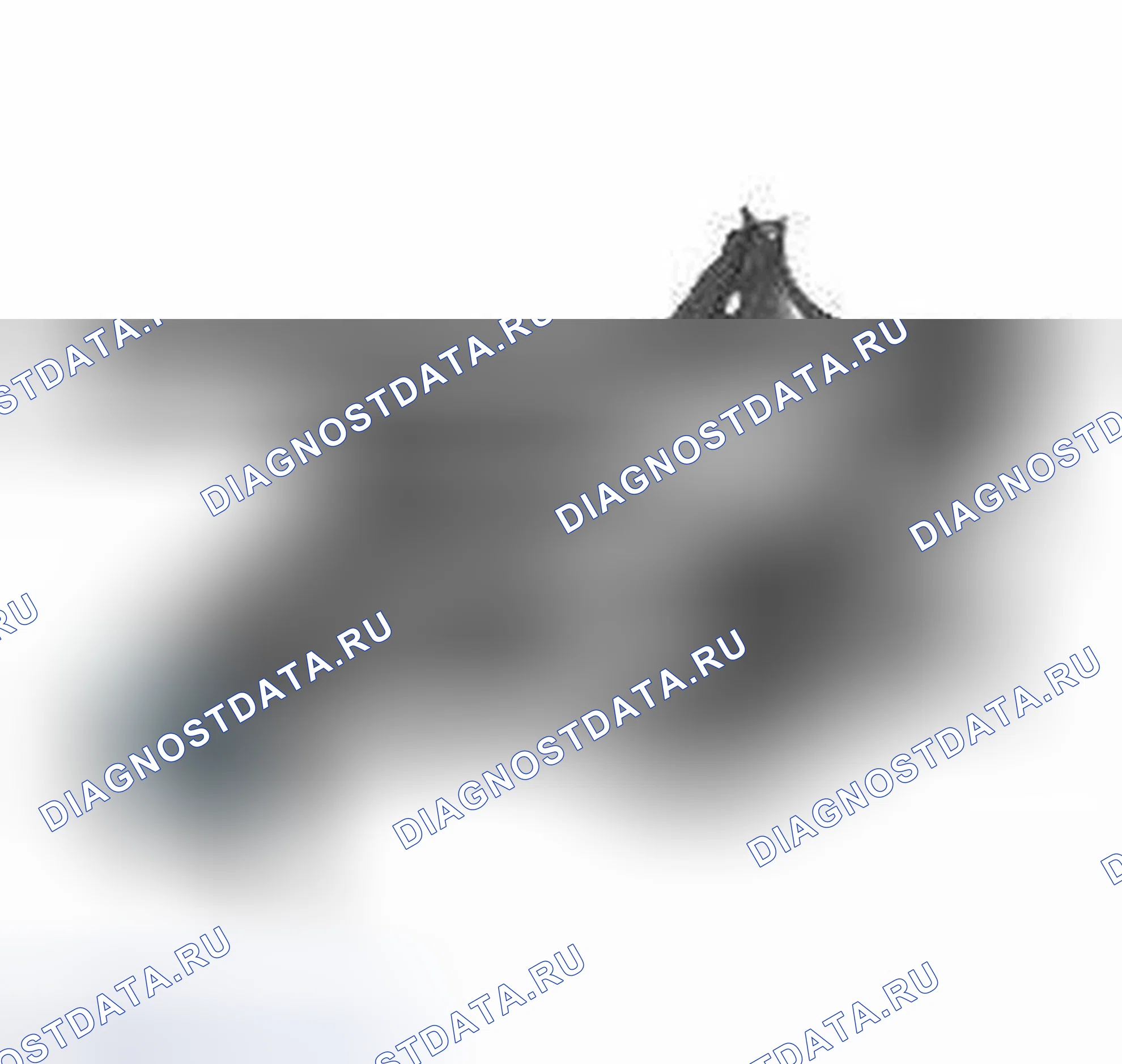 Рис. 281. Jaguar XFR I
