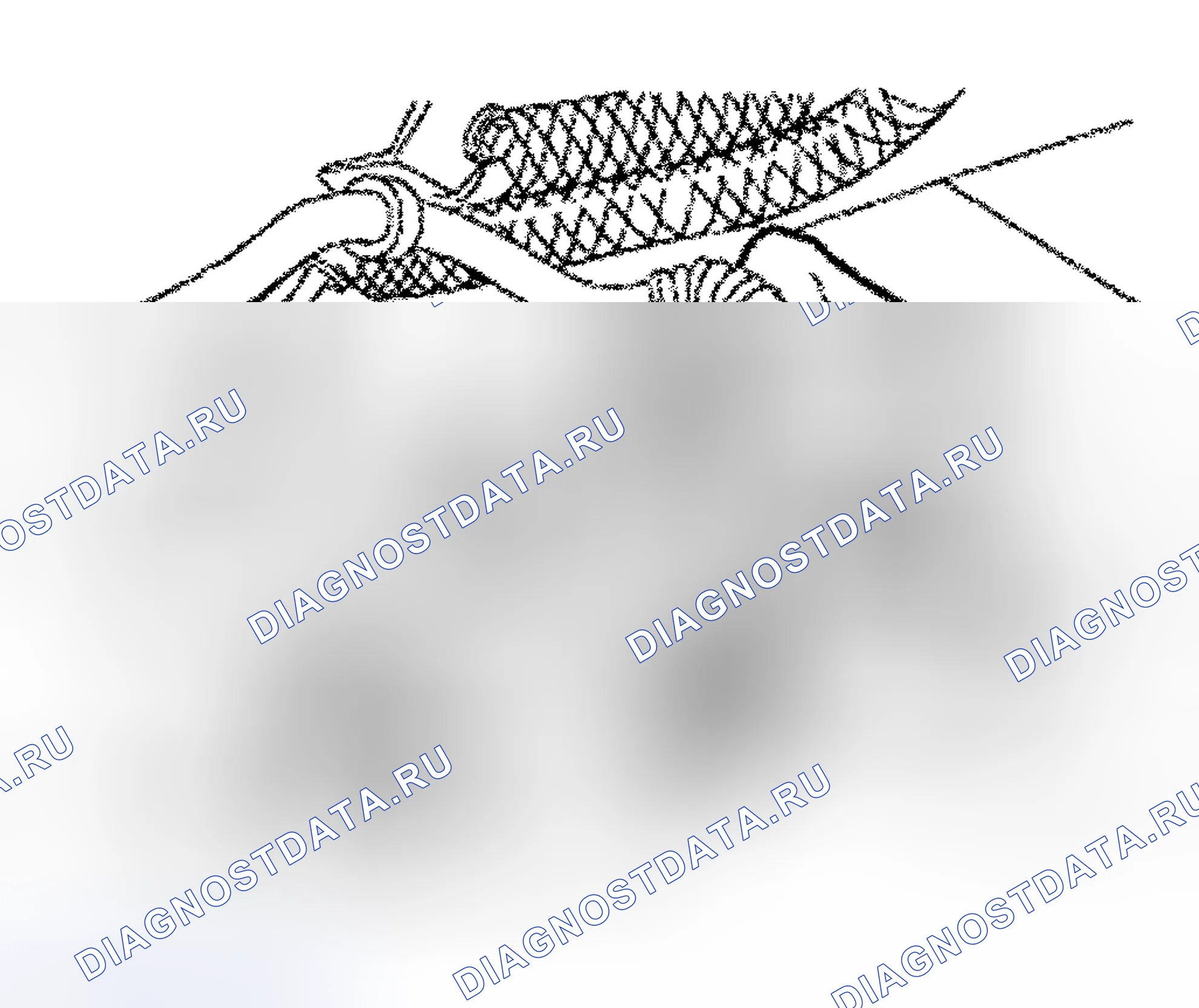 Рис. 188. Land Rover Range Rover L322