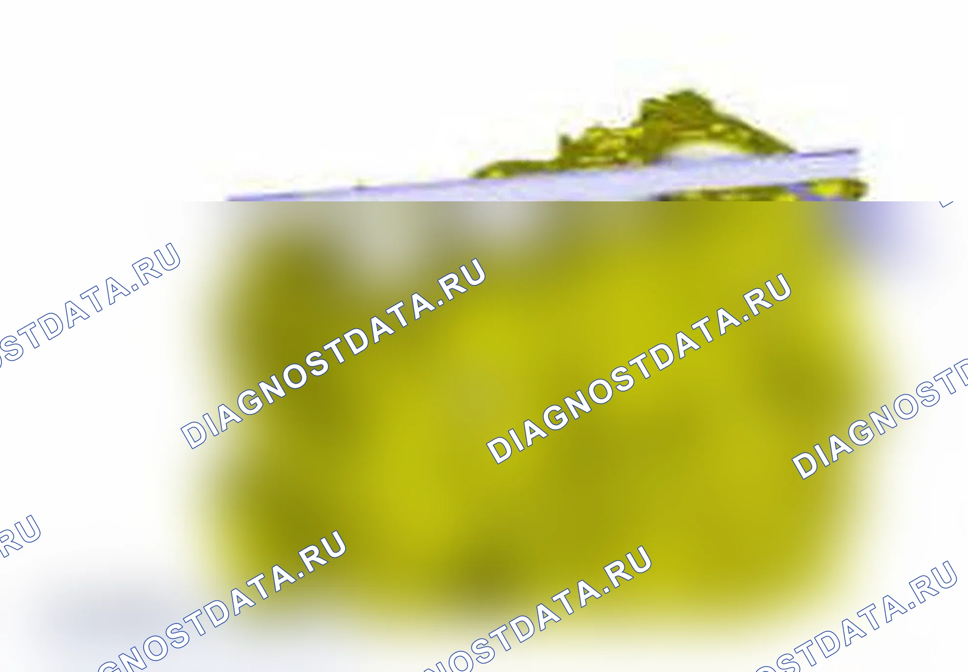 Рис. 22. Ford Focus III