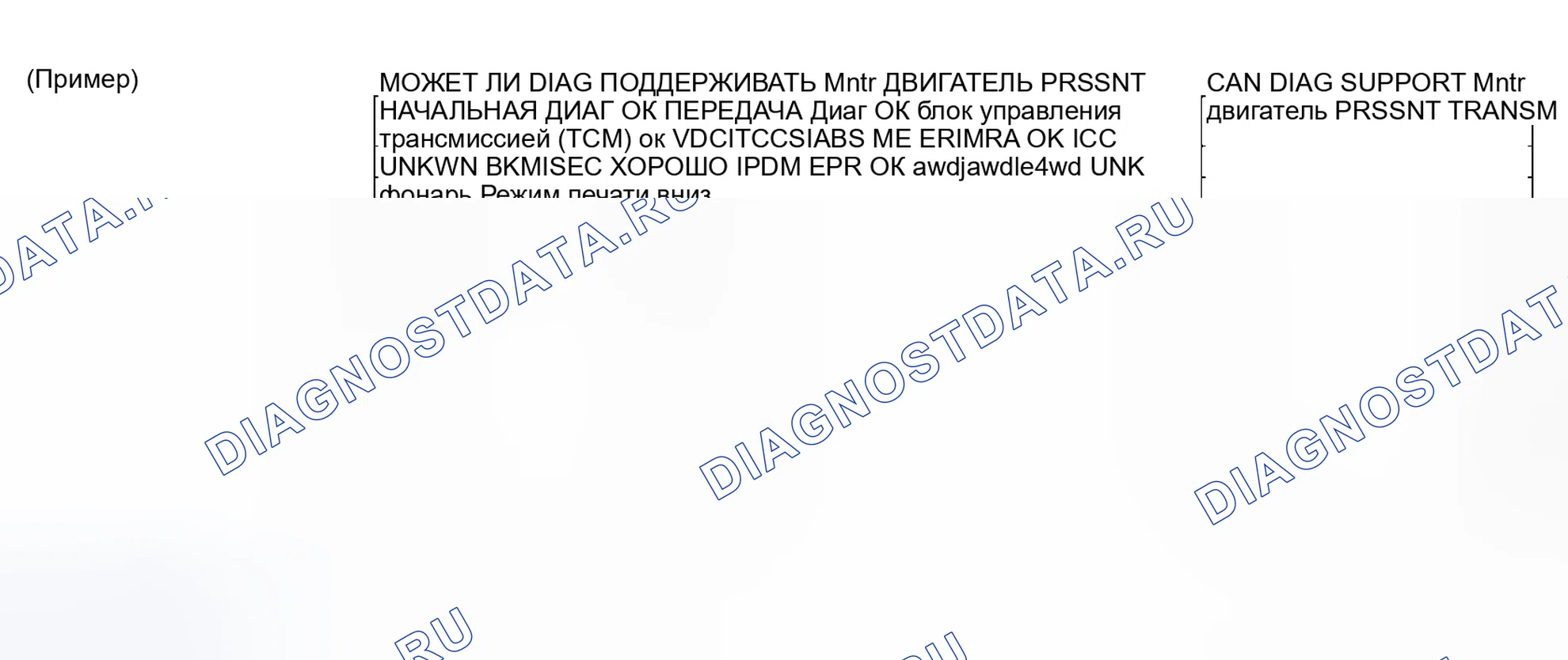 Рис. 13: ОПИСАНИЕ ЭКРАНА " CAN DIAG SUPPORT Mntr " ДЛЯ блок управления двигателем. Nissan Altima L31 рестайлинг