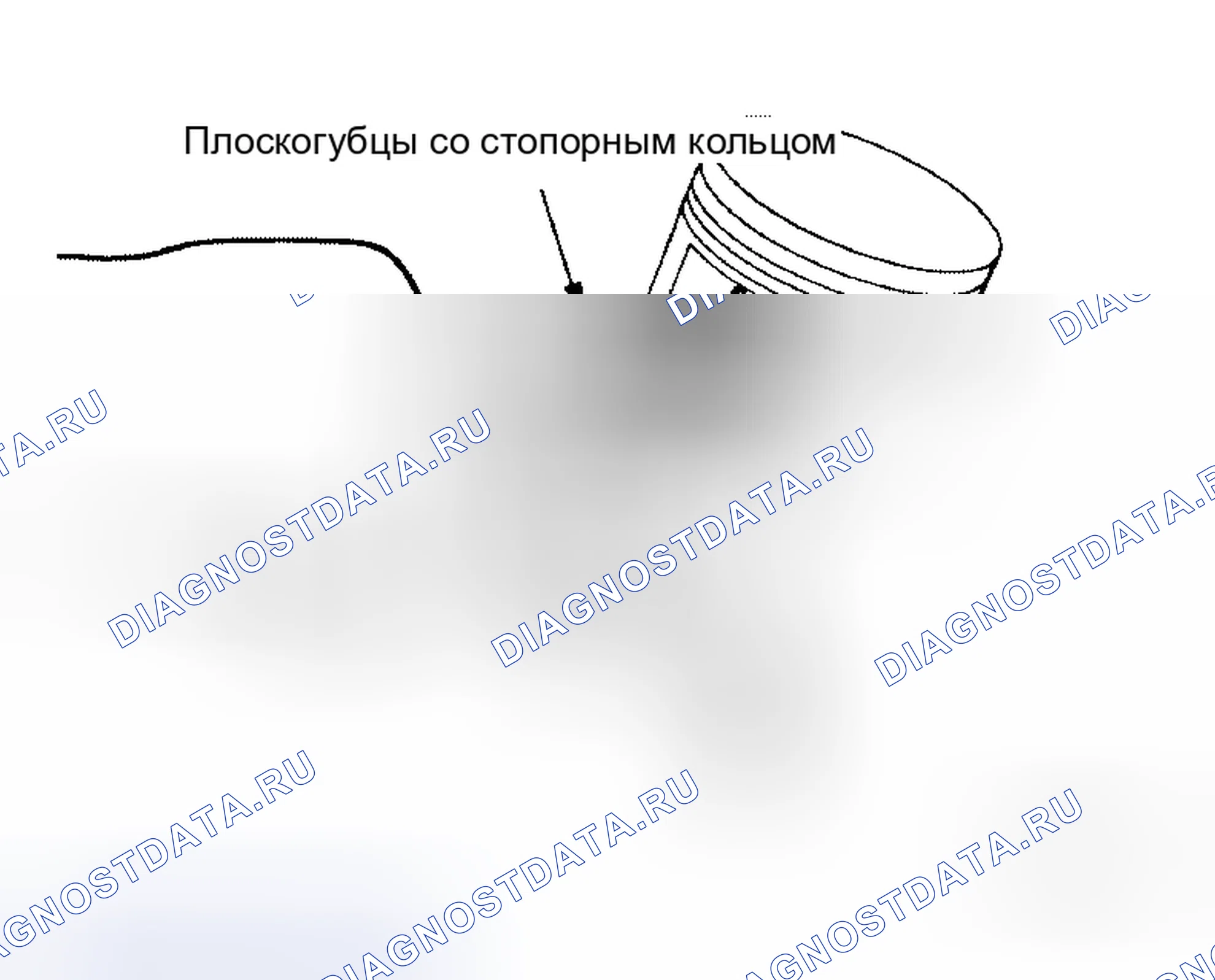 Рис. 130. Honda Odyssey I
