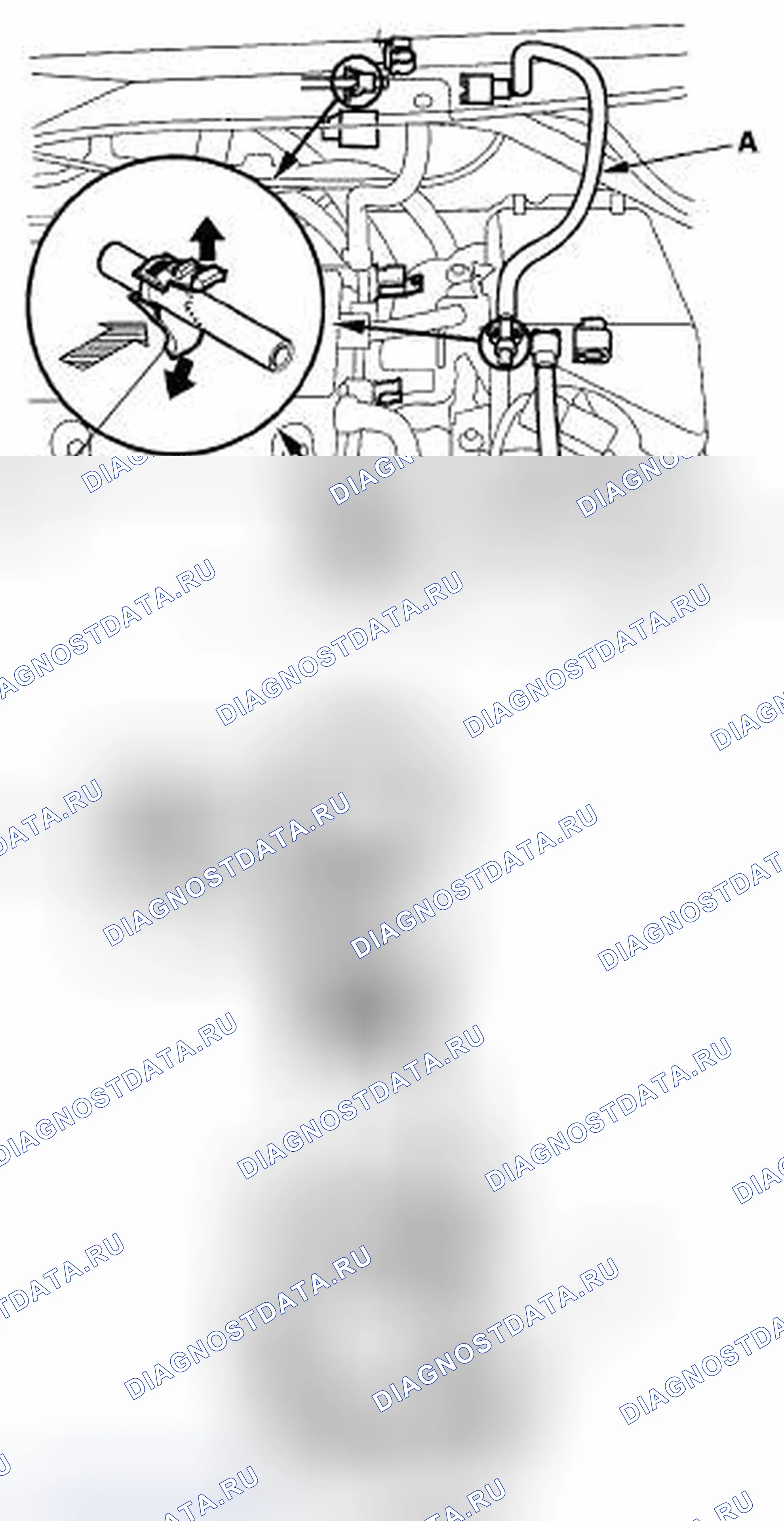 Рис. 33. Honda Element YH2 рестайлинг 2