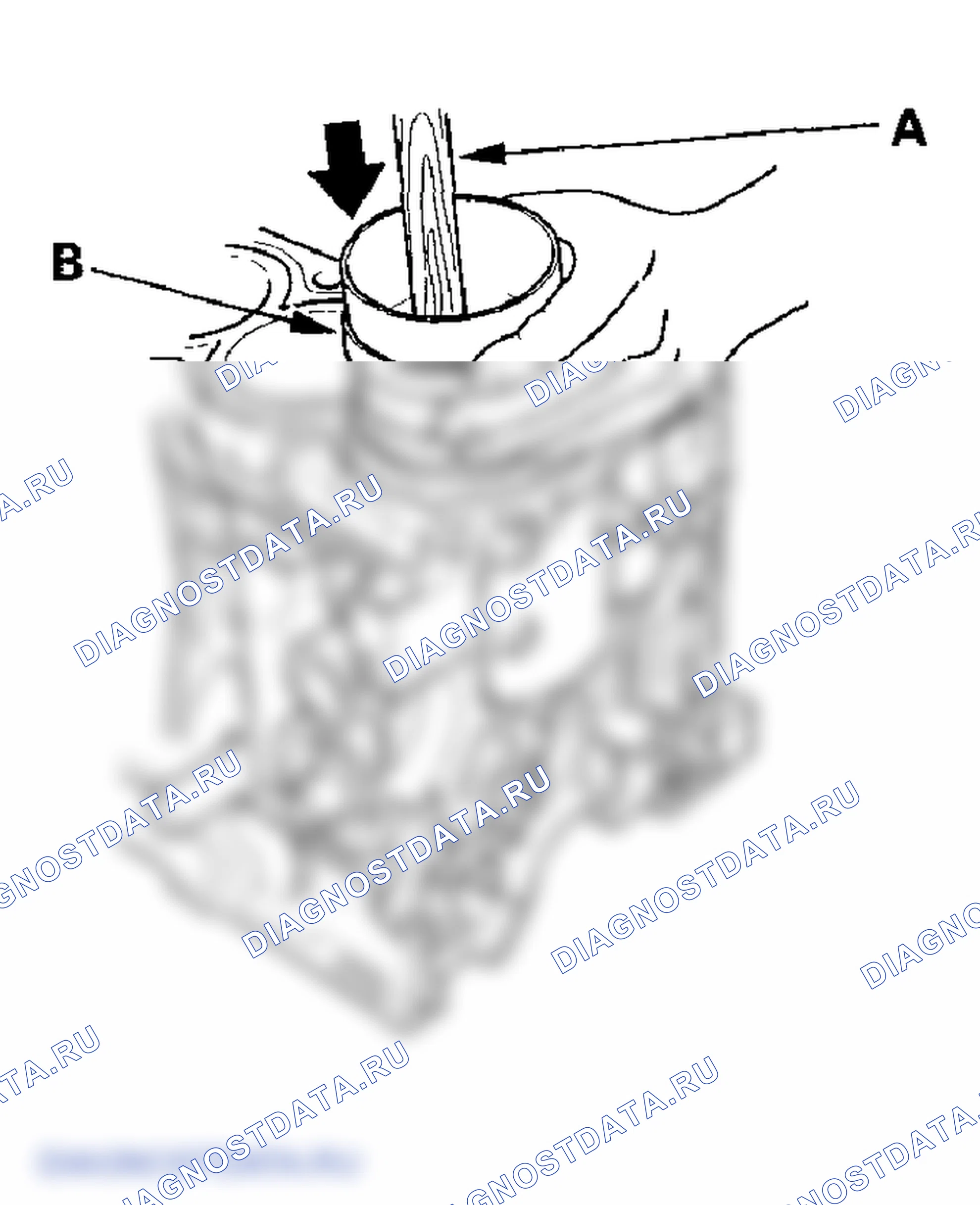 Рис. 226. Honda Element YH2