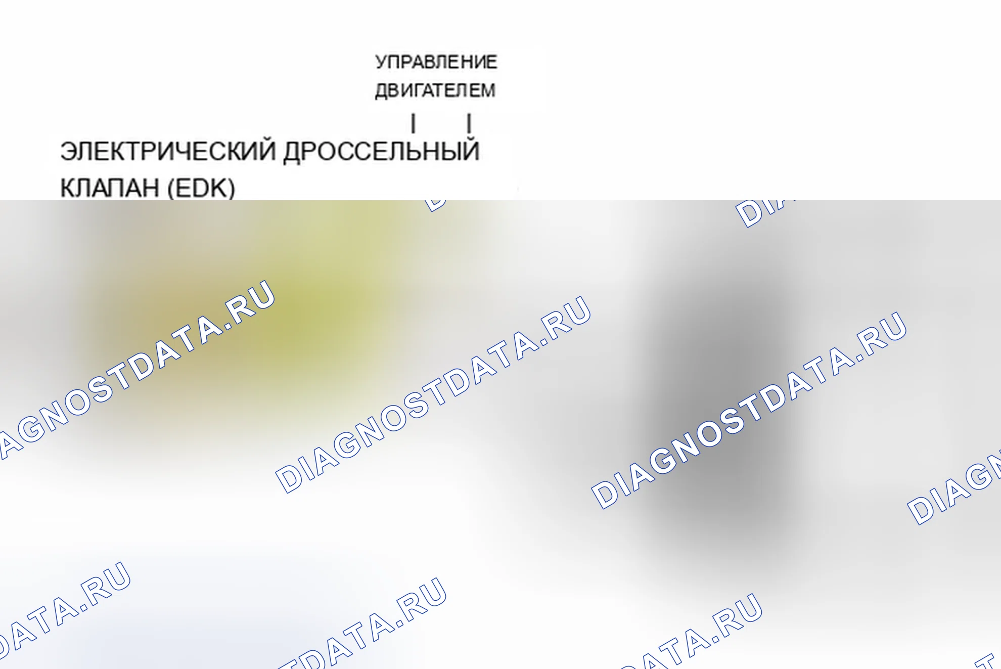 Рис. 1291: Сигналы обратной связи положения дроссельной заслонки EDK. BMW X5 E53 рестайлинг