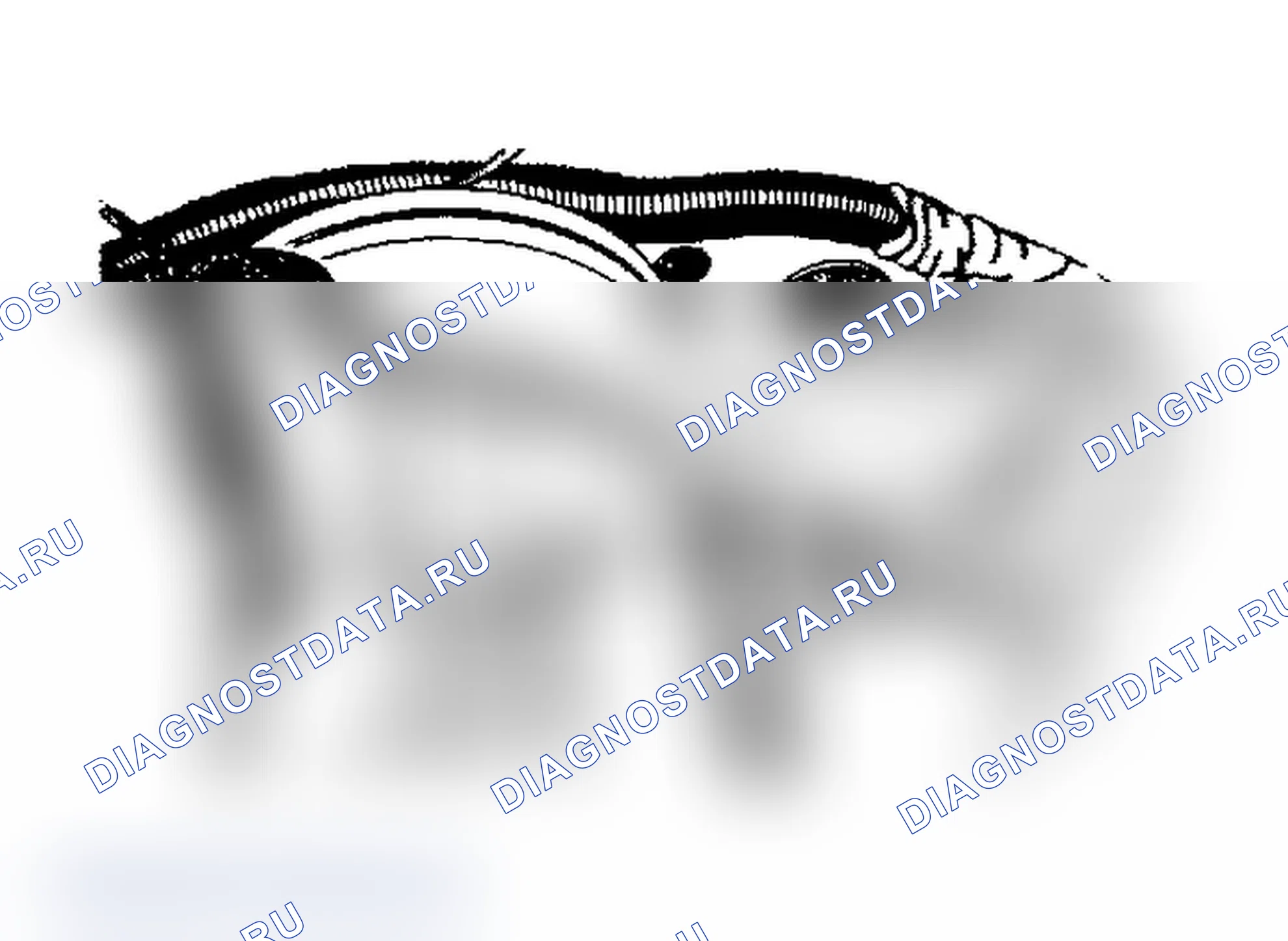 Рис. 195. Dodge Dakota 
