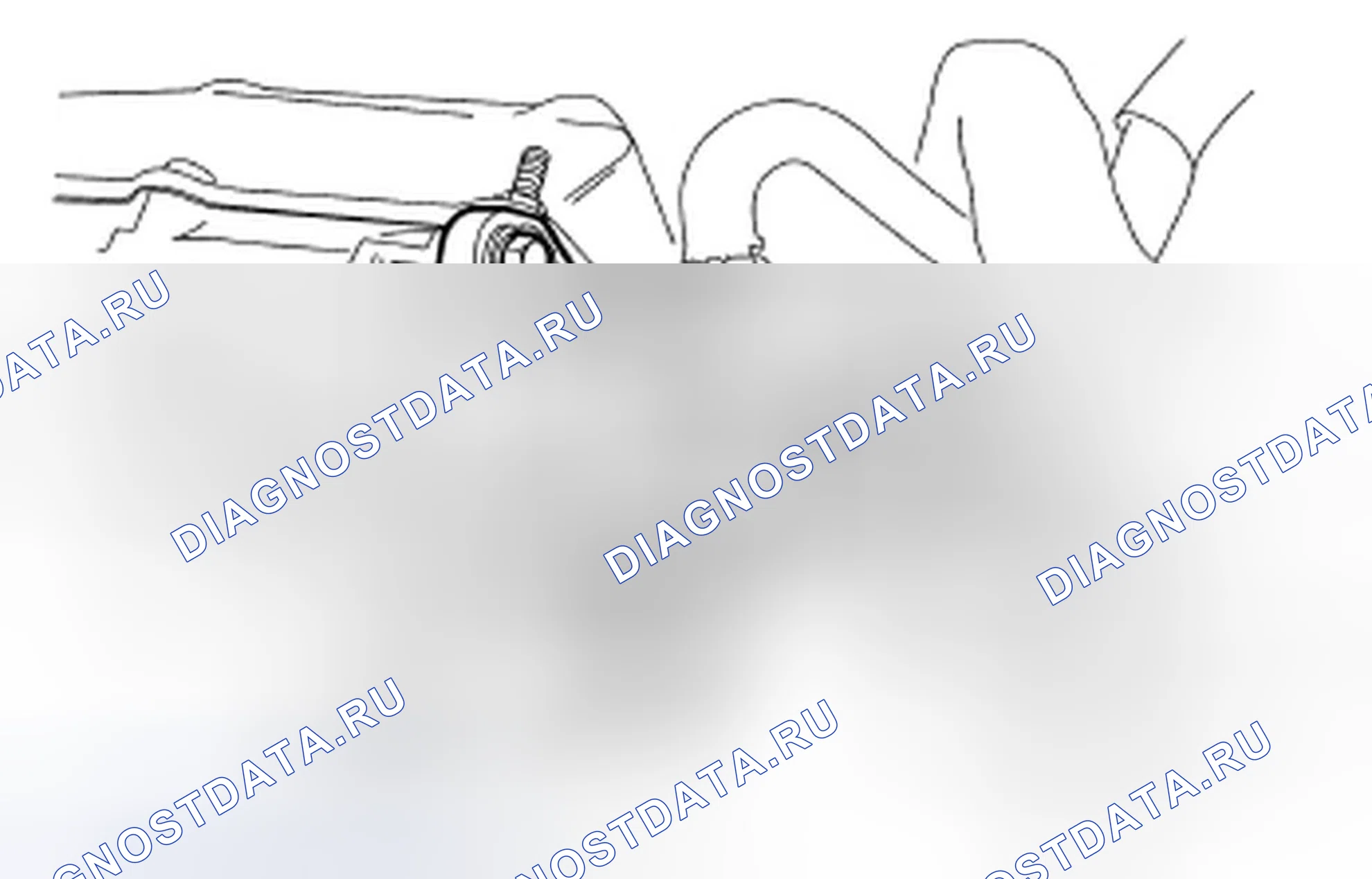 Рис. 747. Ford Escape I рестайлинг 2