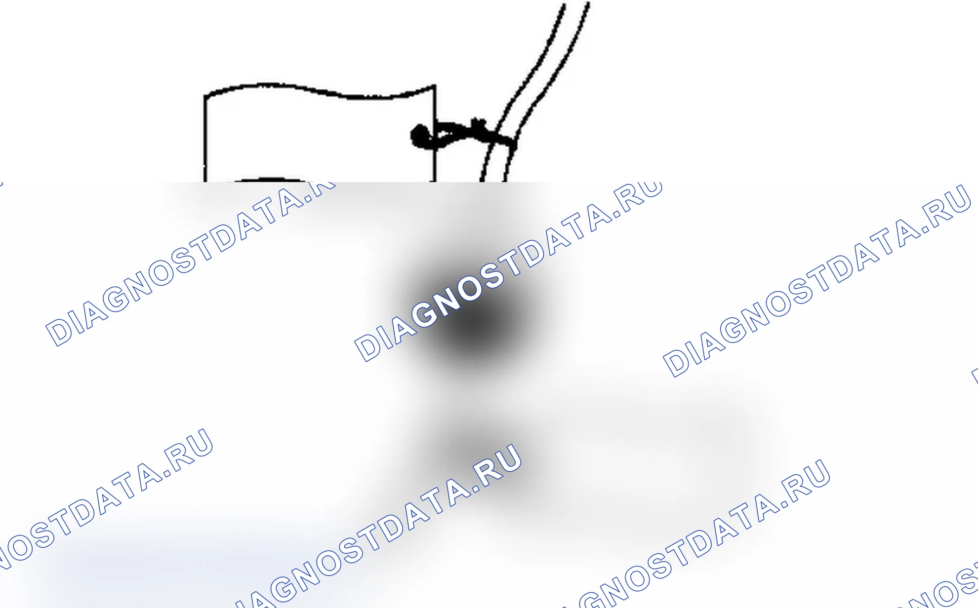 Рис. 22. Lexus IS F I