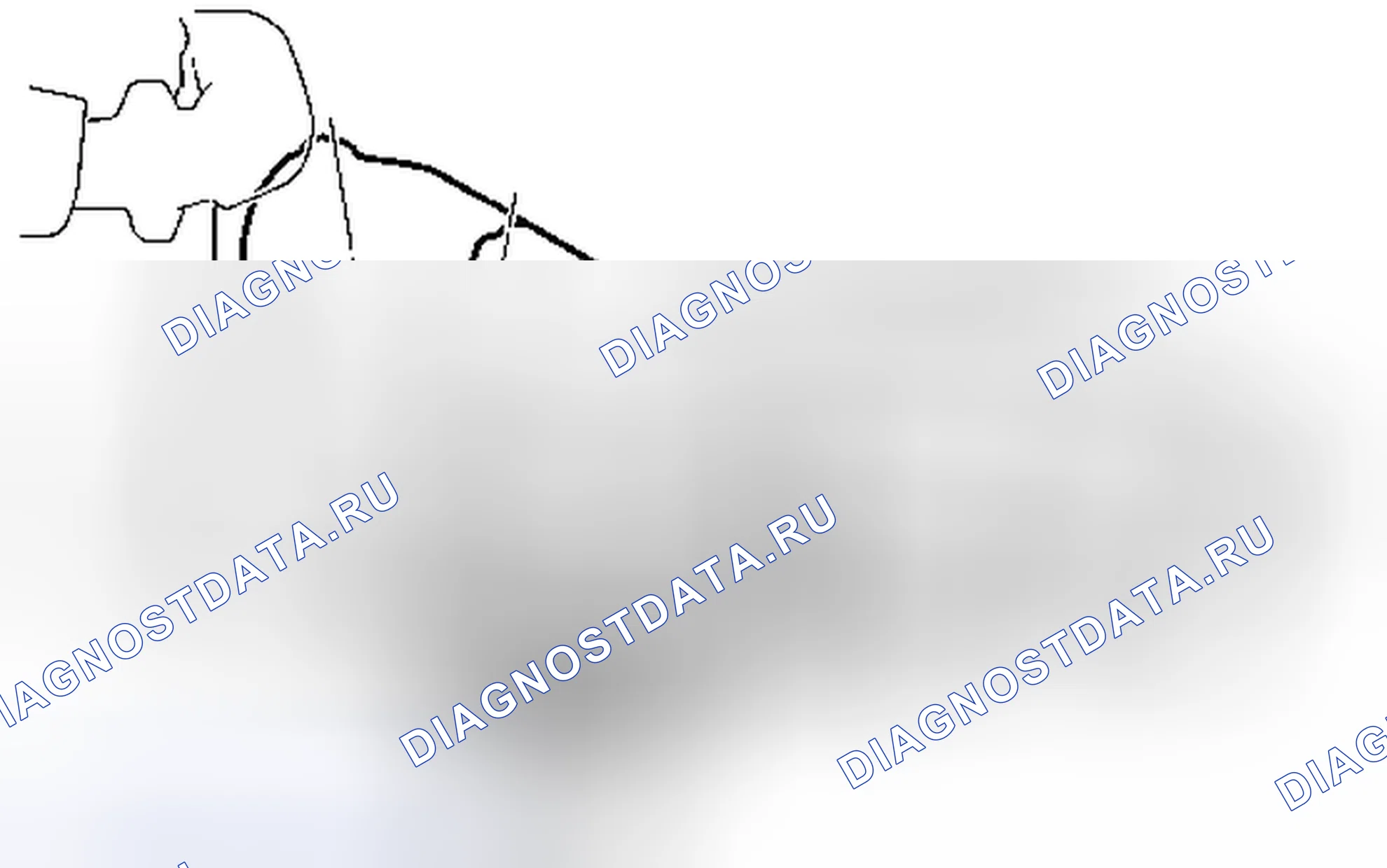 Рис. 1121. Toyota Tacoma II рестайлинг