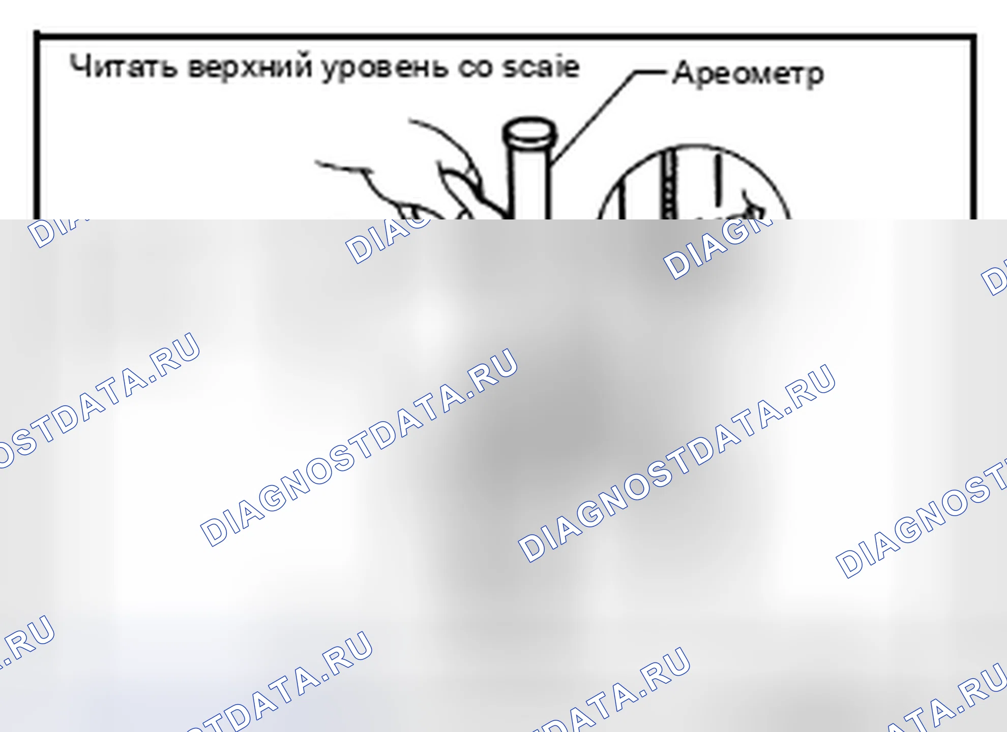Рис. 112: Проверка удельного веса. Infiniti EX37 I