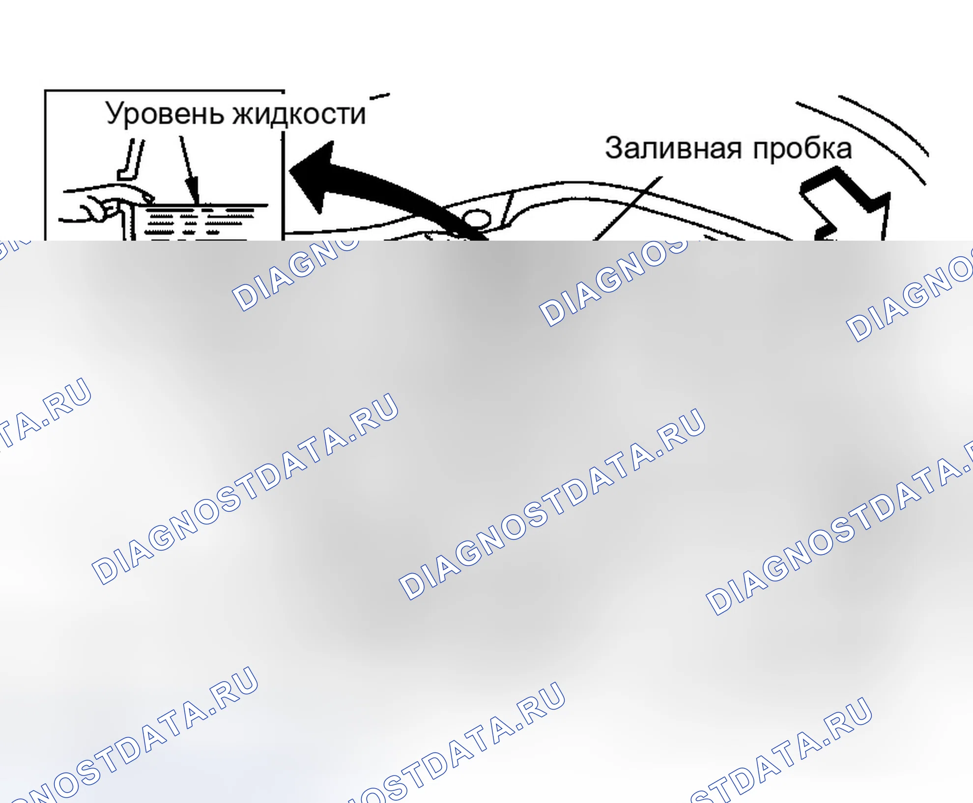 Рис. 11: УТЕЧКА ЖИДКОСТИ И УРОВЕНЬ ЖИДКОСТИ. Infiniti G35 III