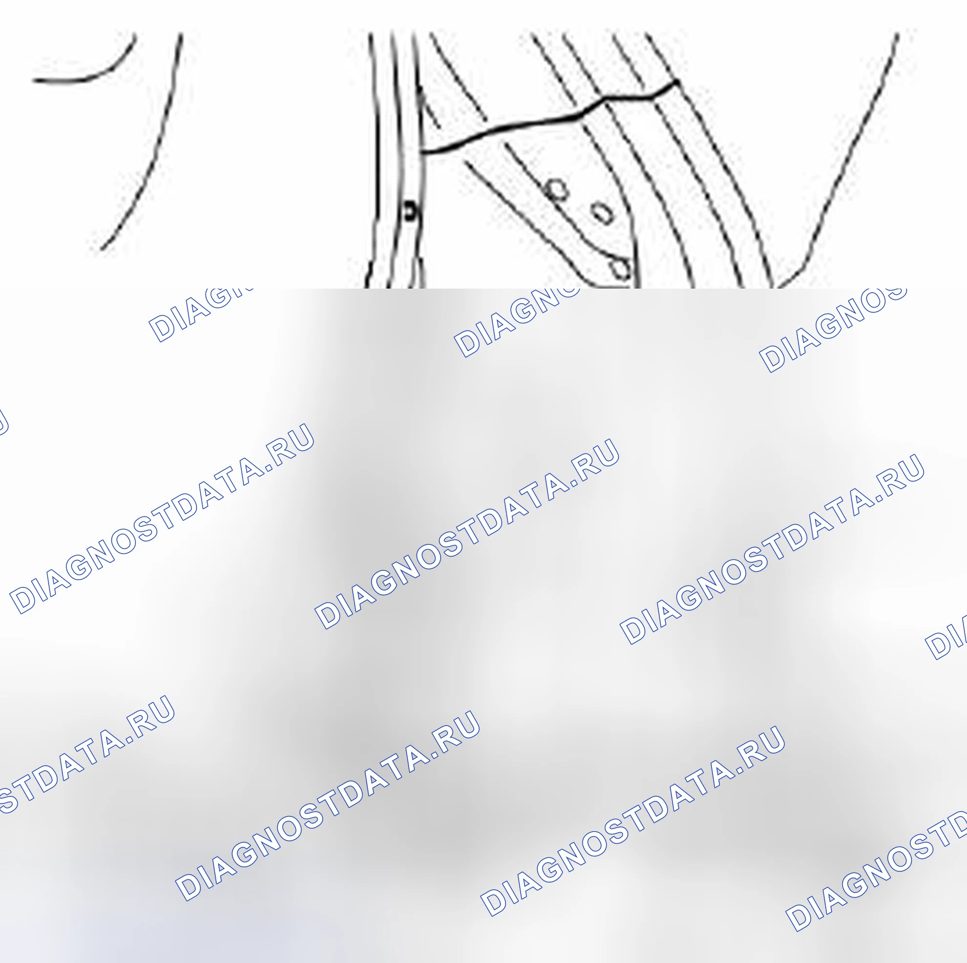 Рис. 713. Kia Optima II