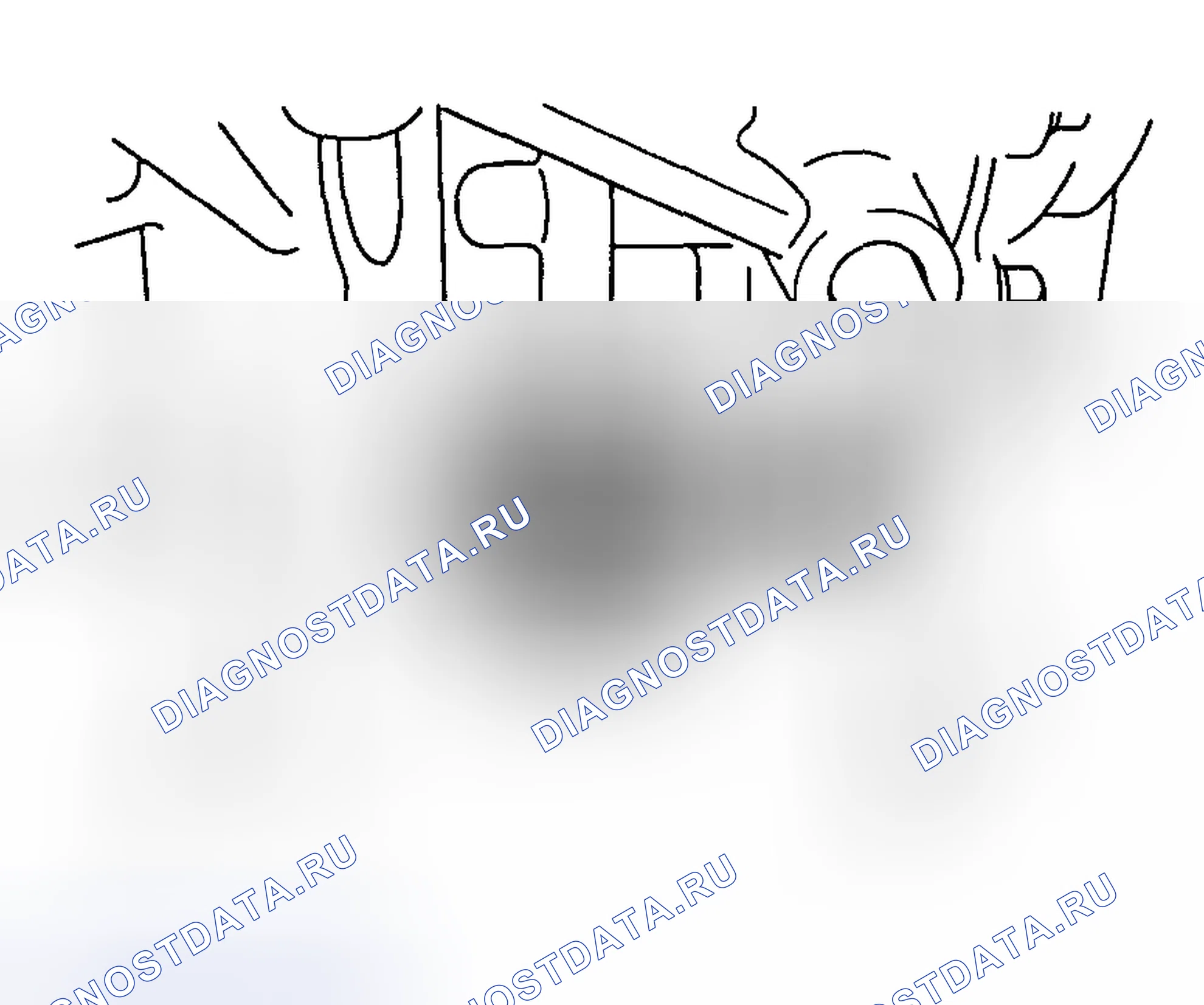 Рис. 232. Haval Chitu I
