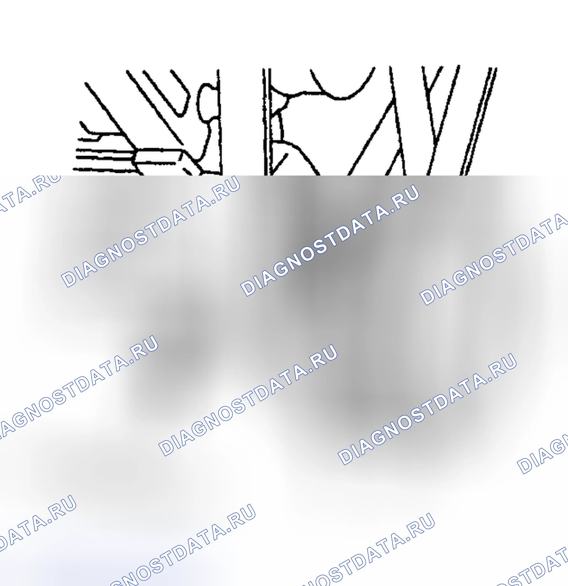 Рис. 3. Honda Accord X рестайлинг