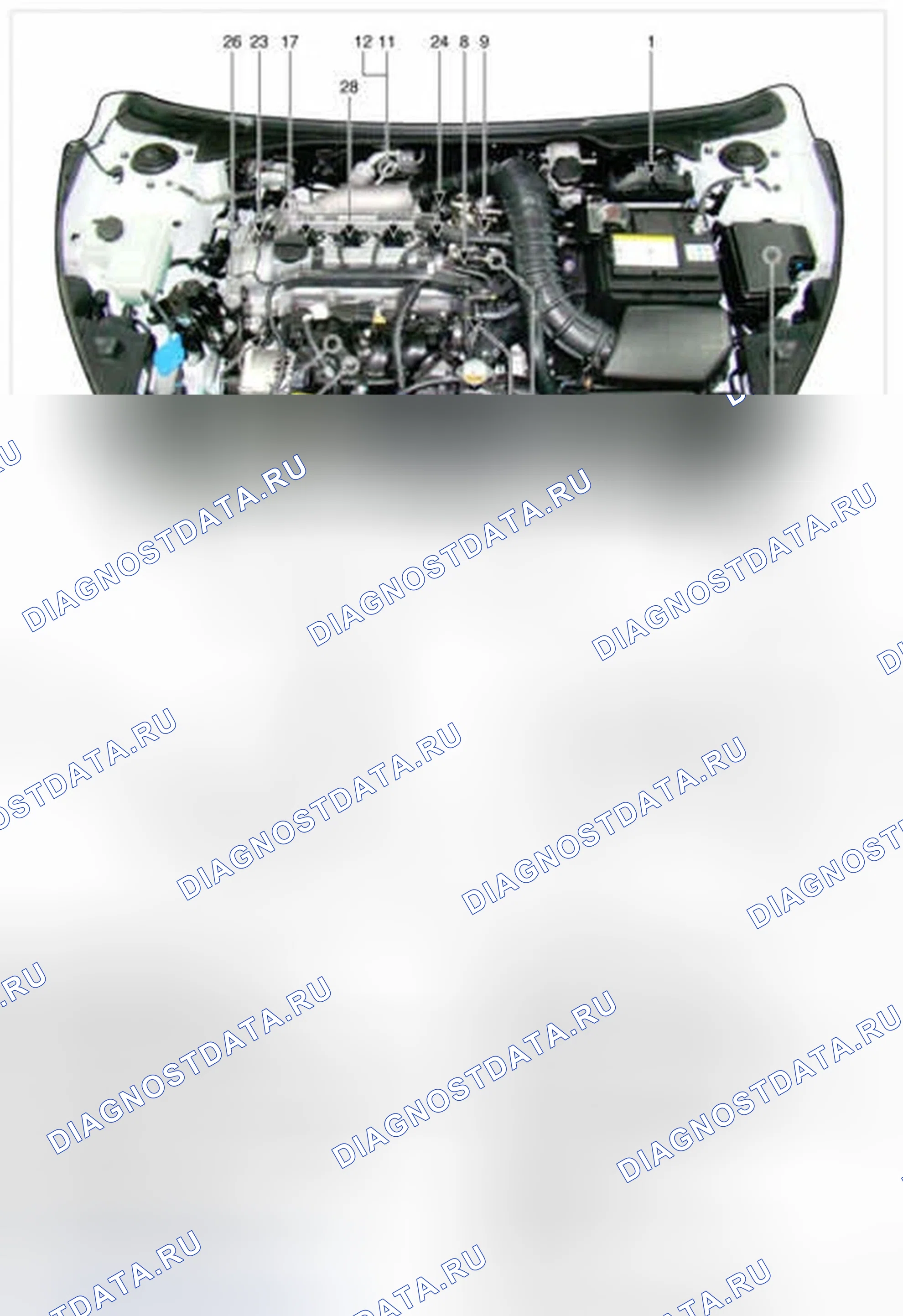 Рис. 306: Расположение компонентов. Hyundai Veloster I
