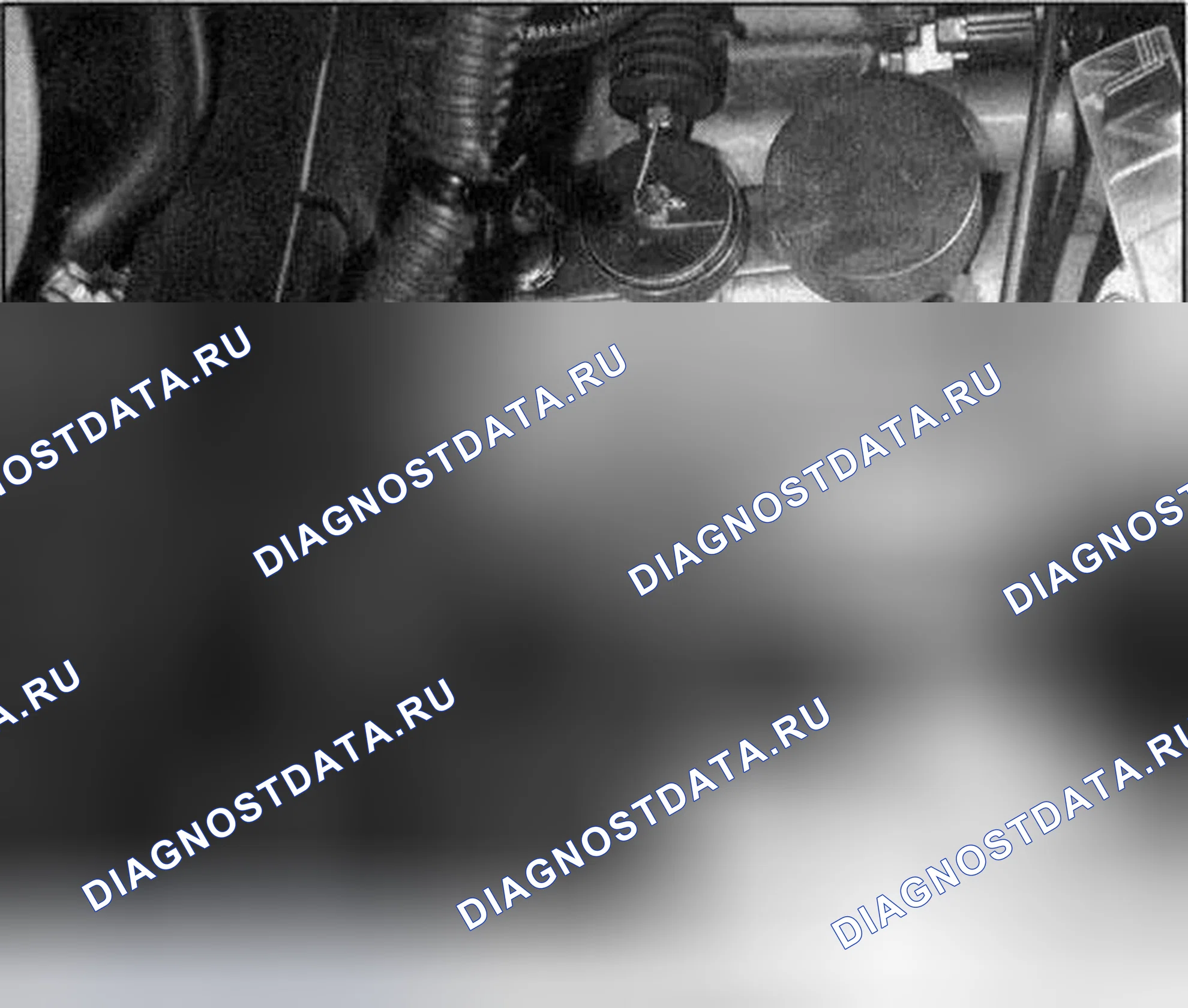 Рис. 288. Honda Accord VII рестайлинг