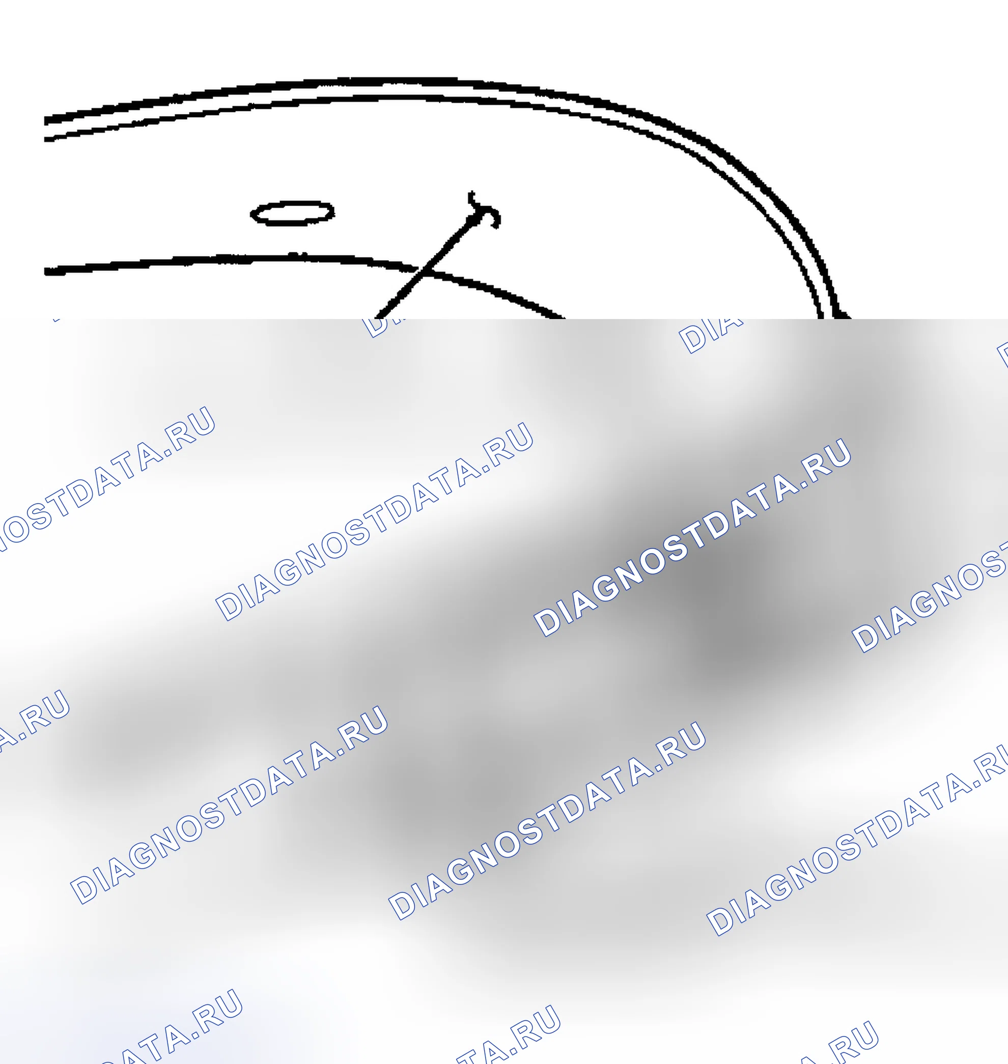 Рис. 99. Hyundai Santa Cruz I