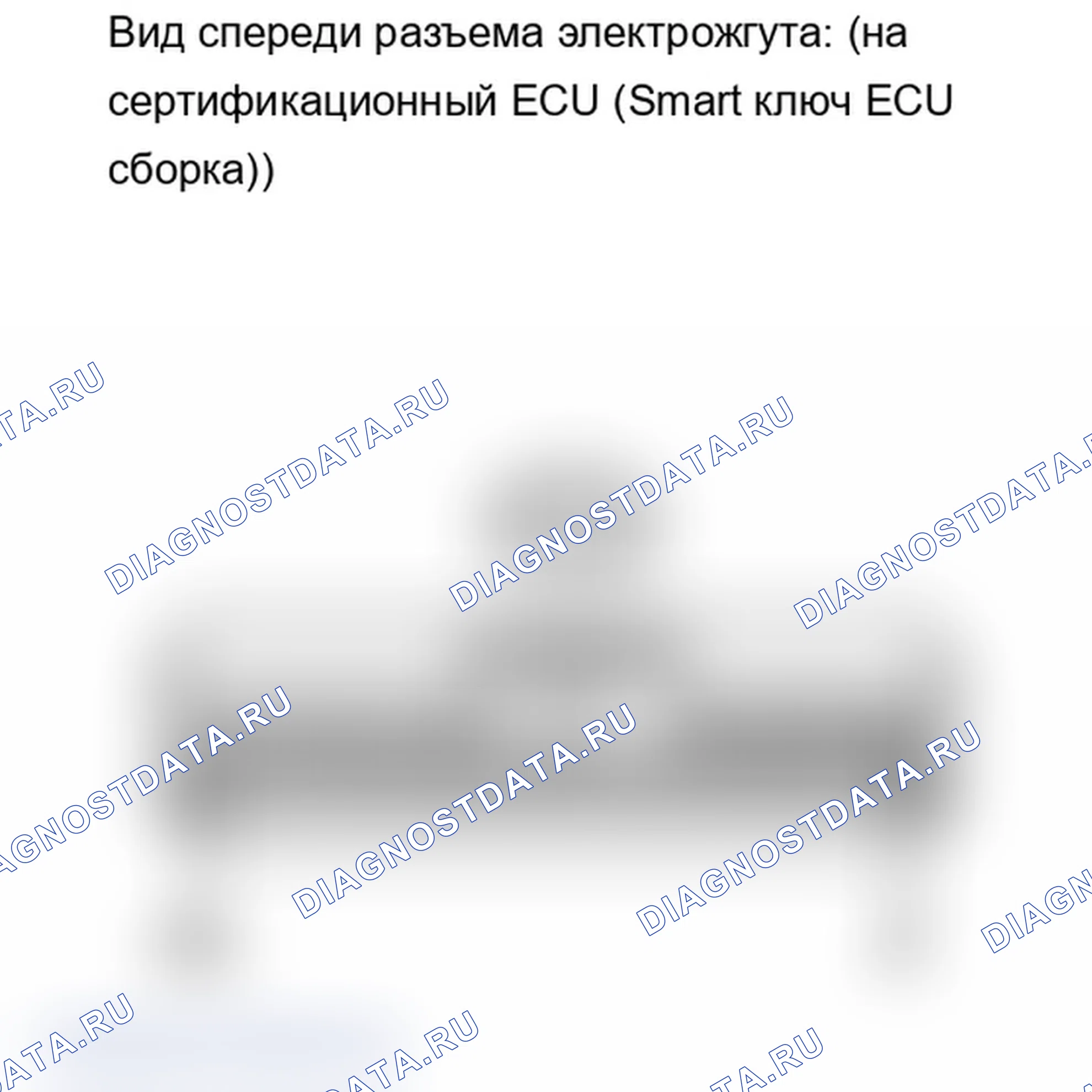 Рис. 237. Lexus IS F I
