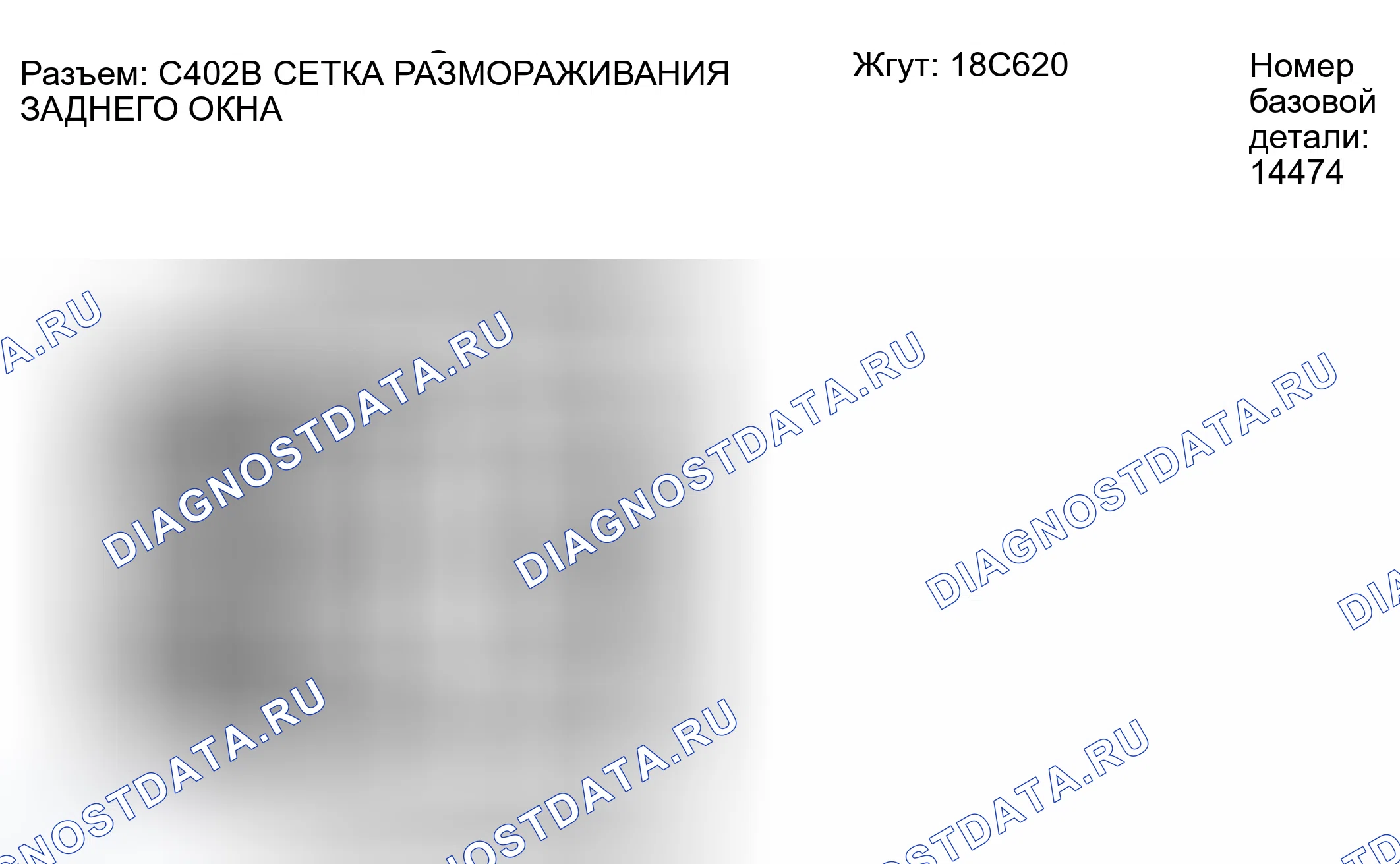 Рис. 157: Идентификация разъема C402B. Ford Escape I рестайлинг