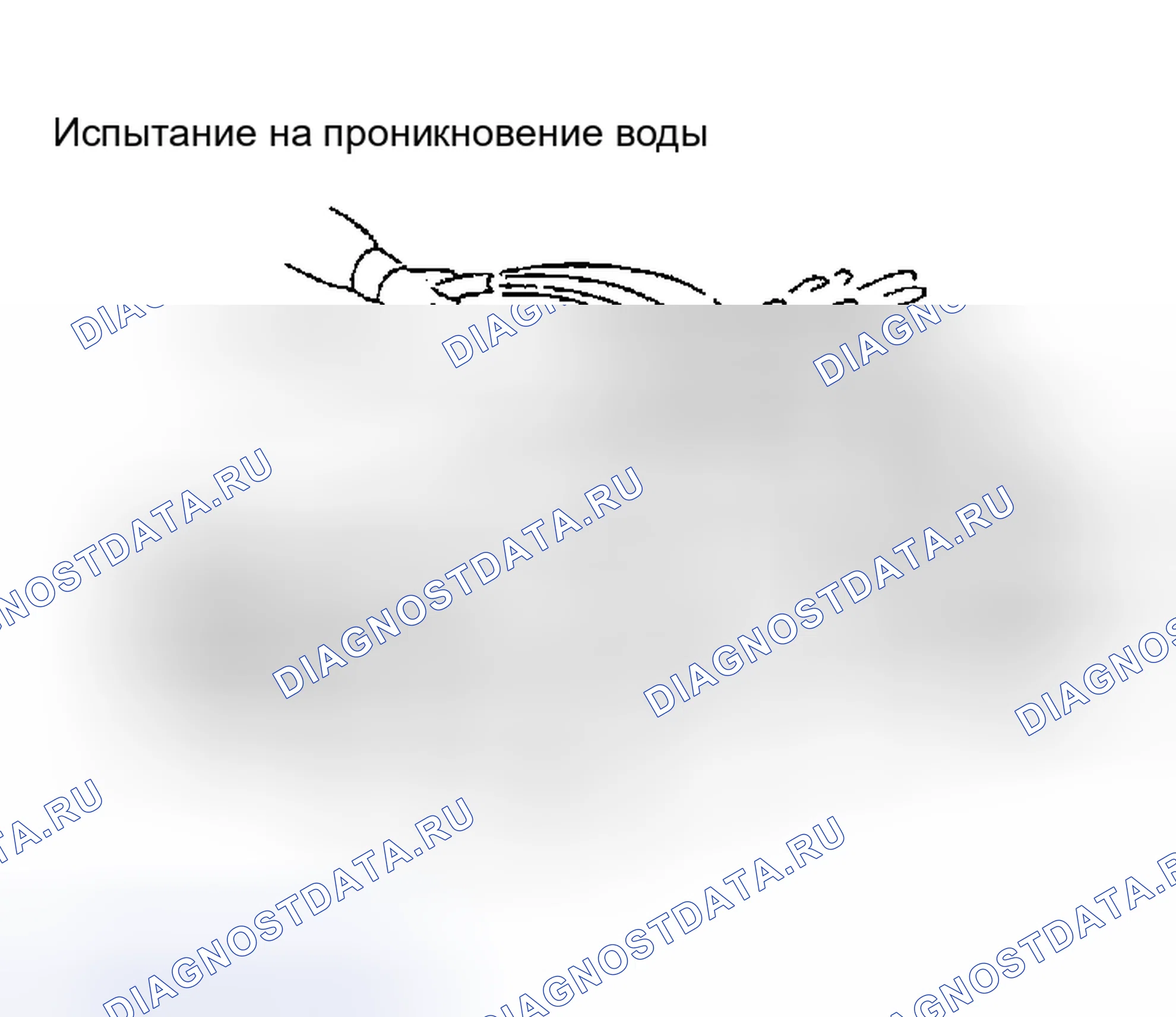 Рис. 30: Проникновение воды. Nissan Maxima A33
