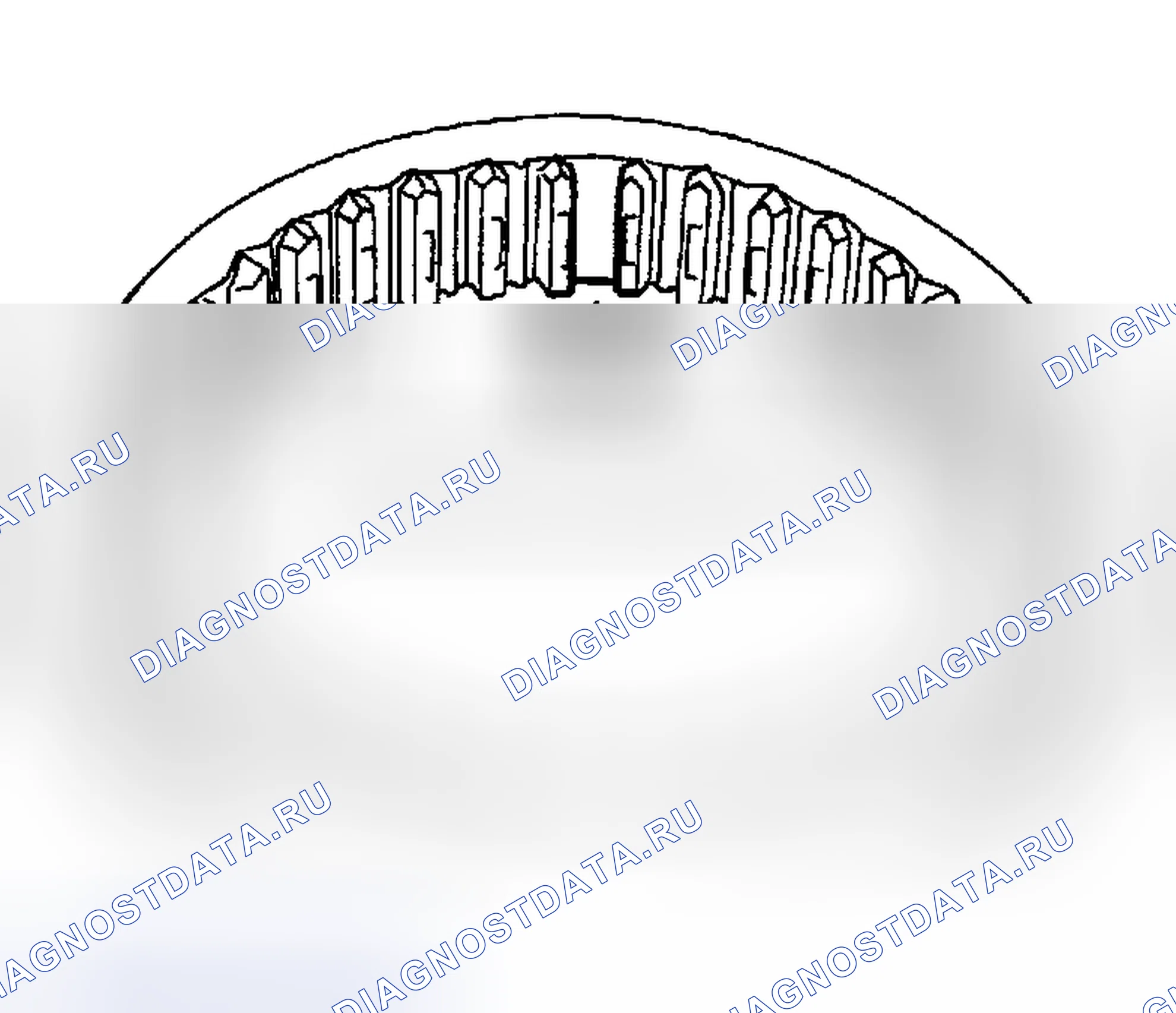 Рис. 139. Nissan Sentra B15