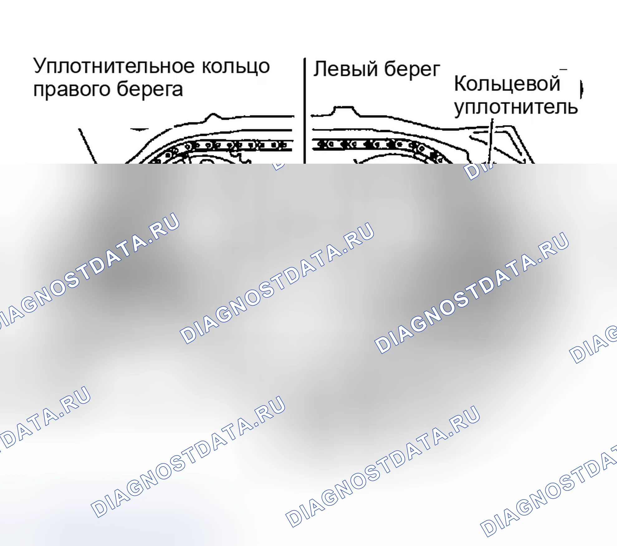 Рис. 1291. Infiniti G35 III