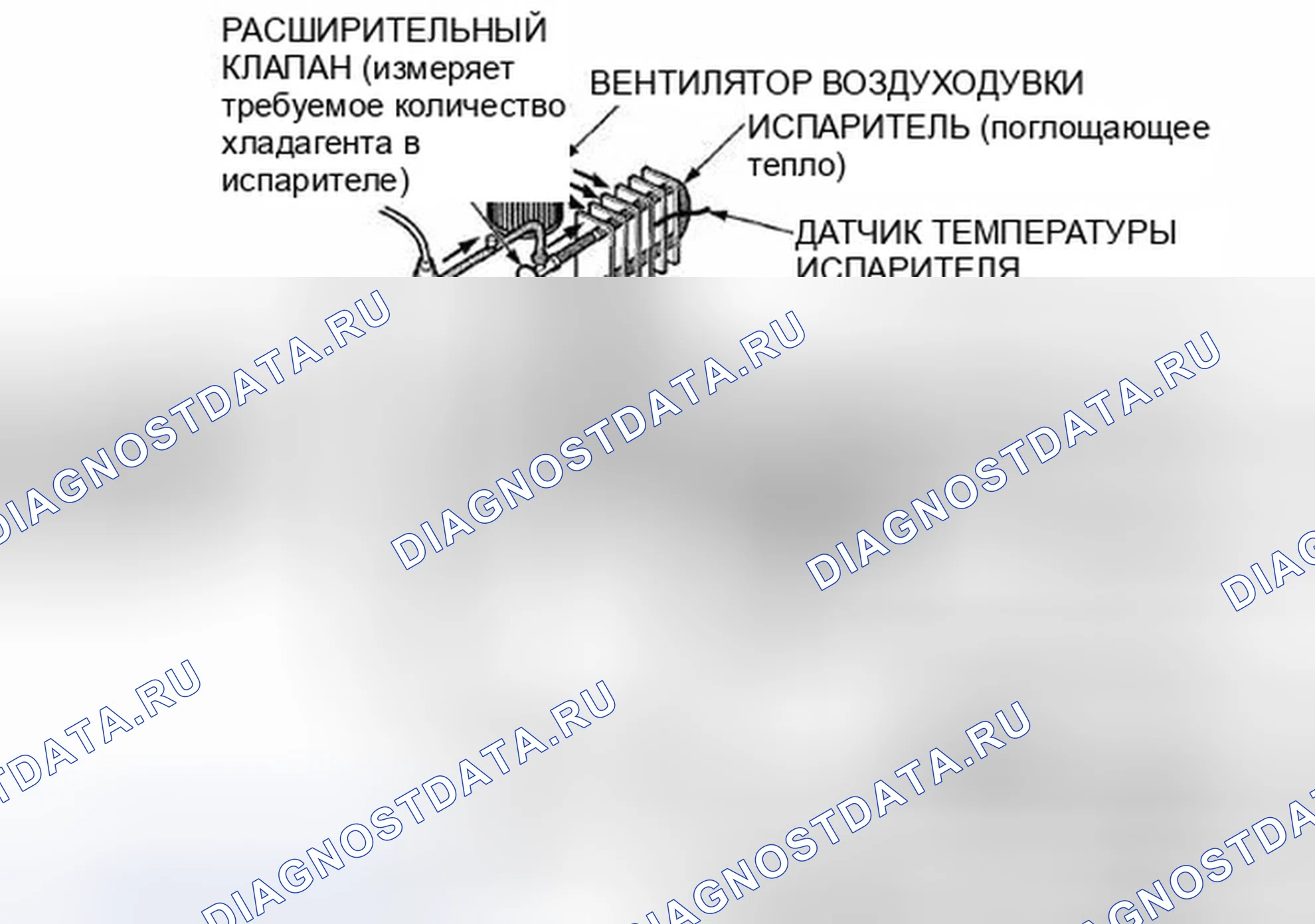 Рис. 13. Honda Element YH2 рестайлинг