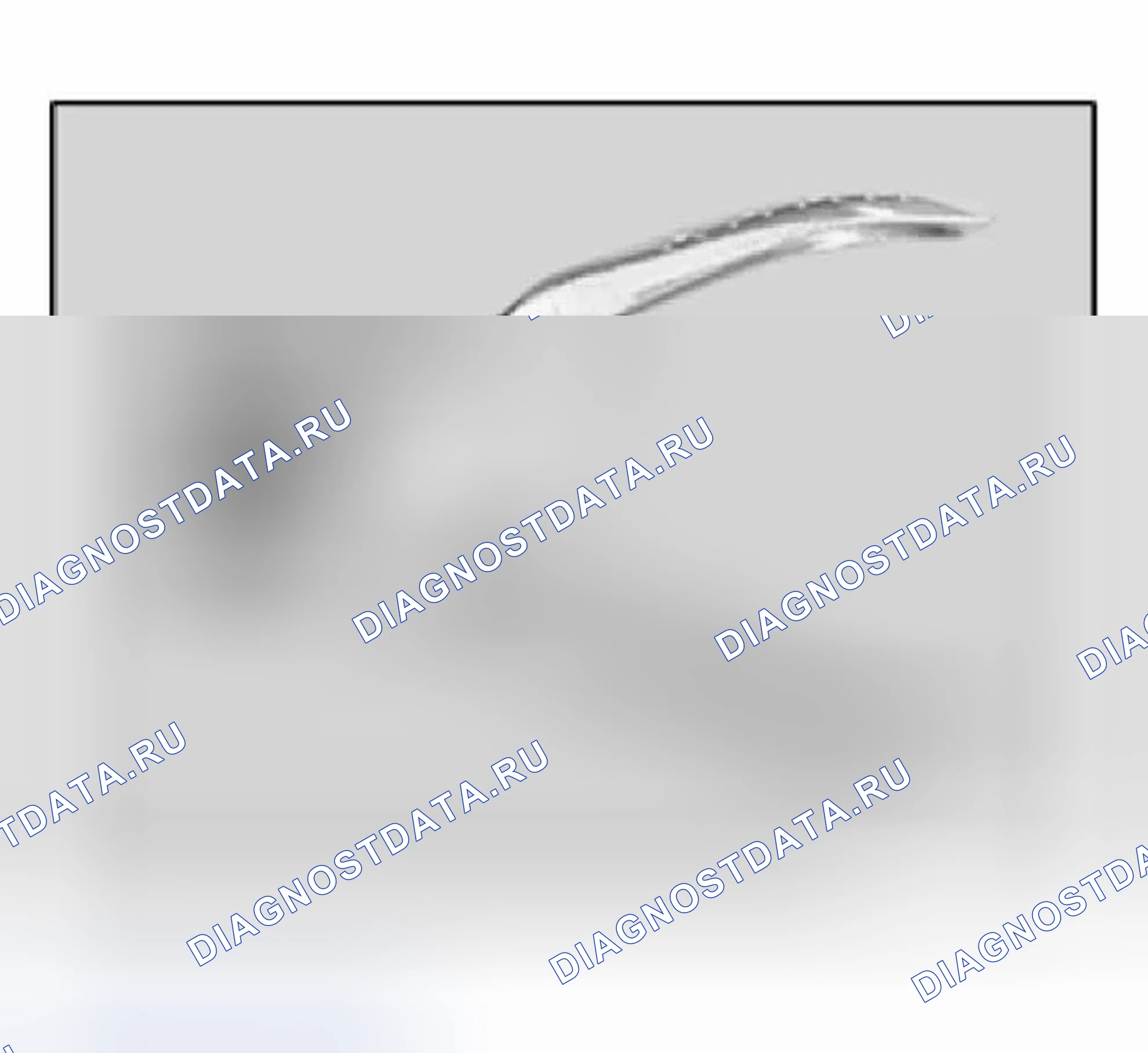 Рис. 22. BMW M6 E63/E64