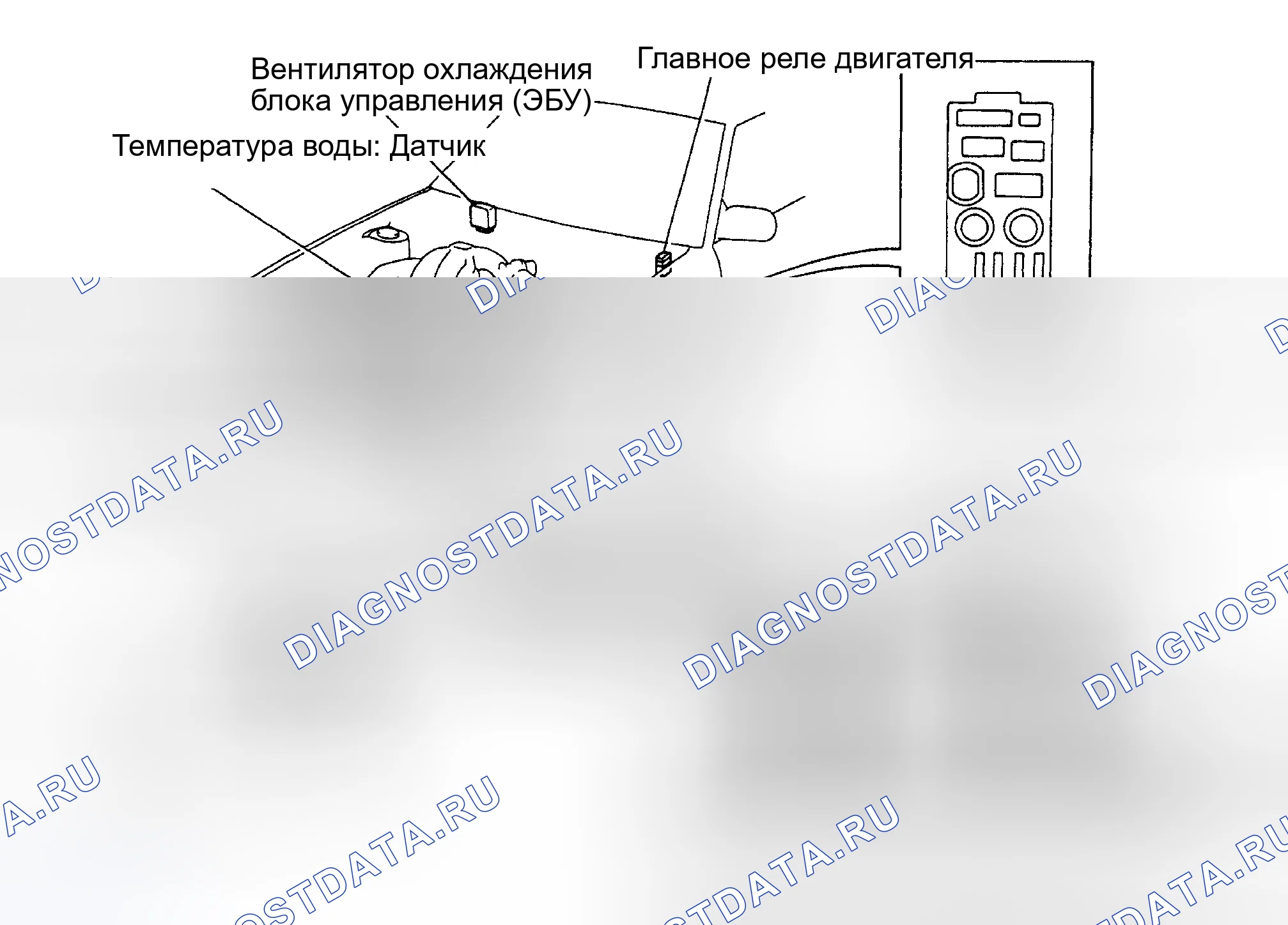 Рис. 1: РАСПОЛОЖЕНИЕ КОМПОНЕНТОВ. Lexus ES V20