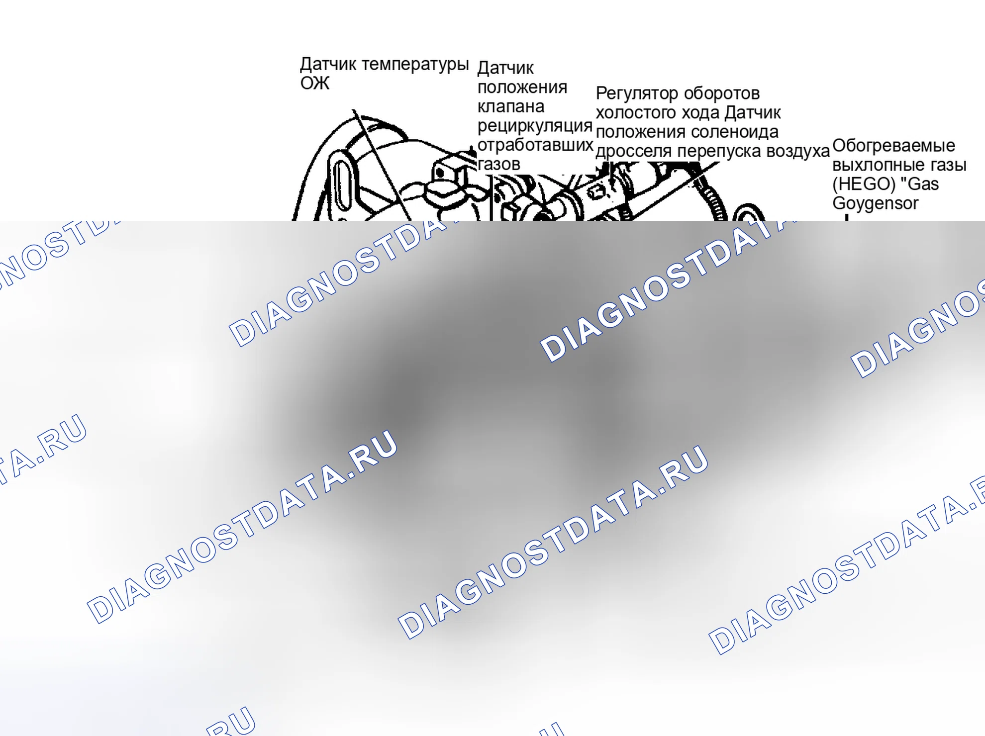 Рис. 4: Расположение компонентов (4 из 7). Ford Mustang III рестайлинг