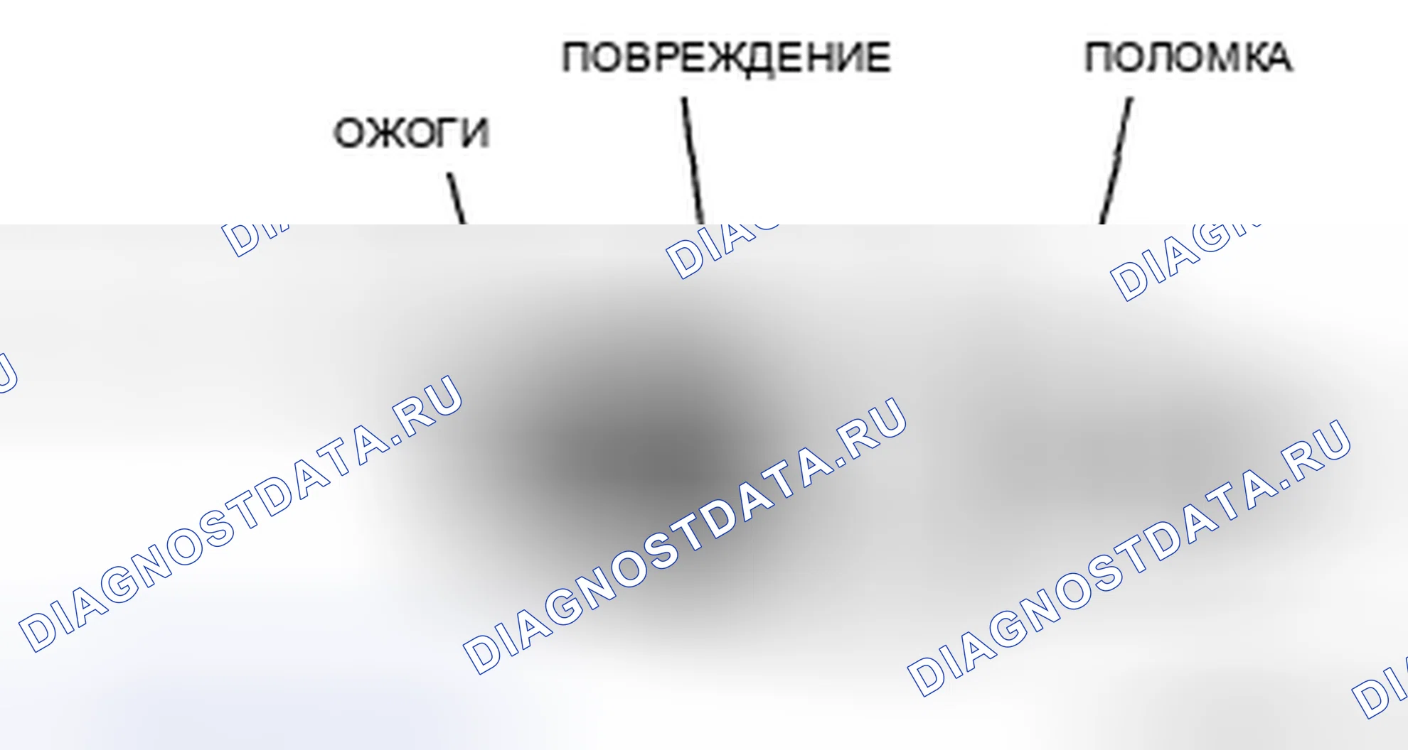 Рис. 5: Визуальный осмотр. Audi R8 I