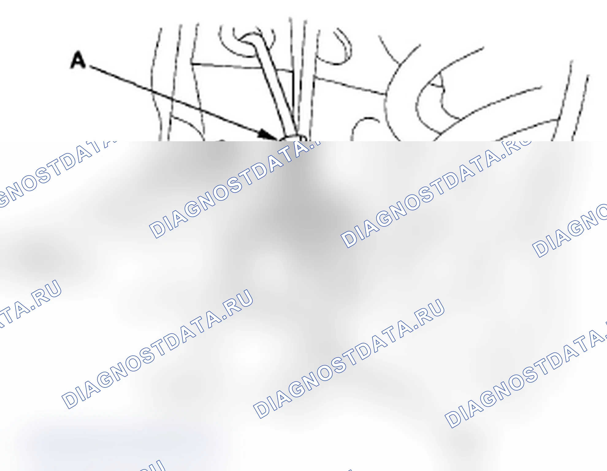 Рис. 69: Передняя часть. Acura TL IV