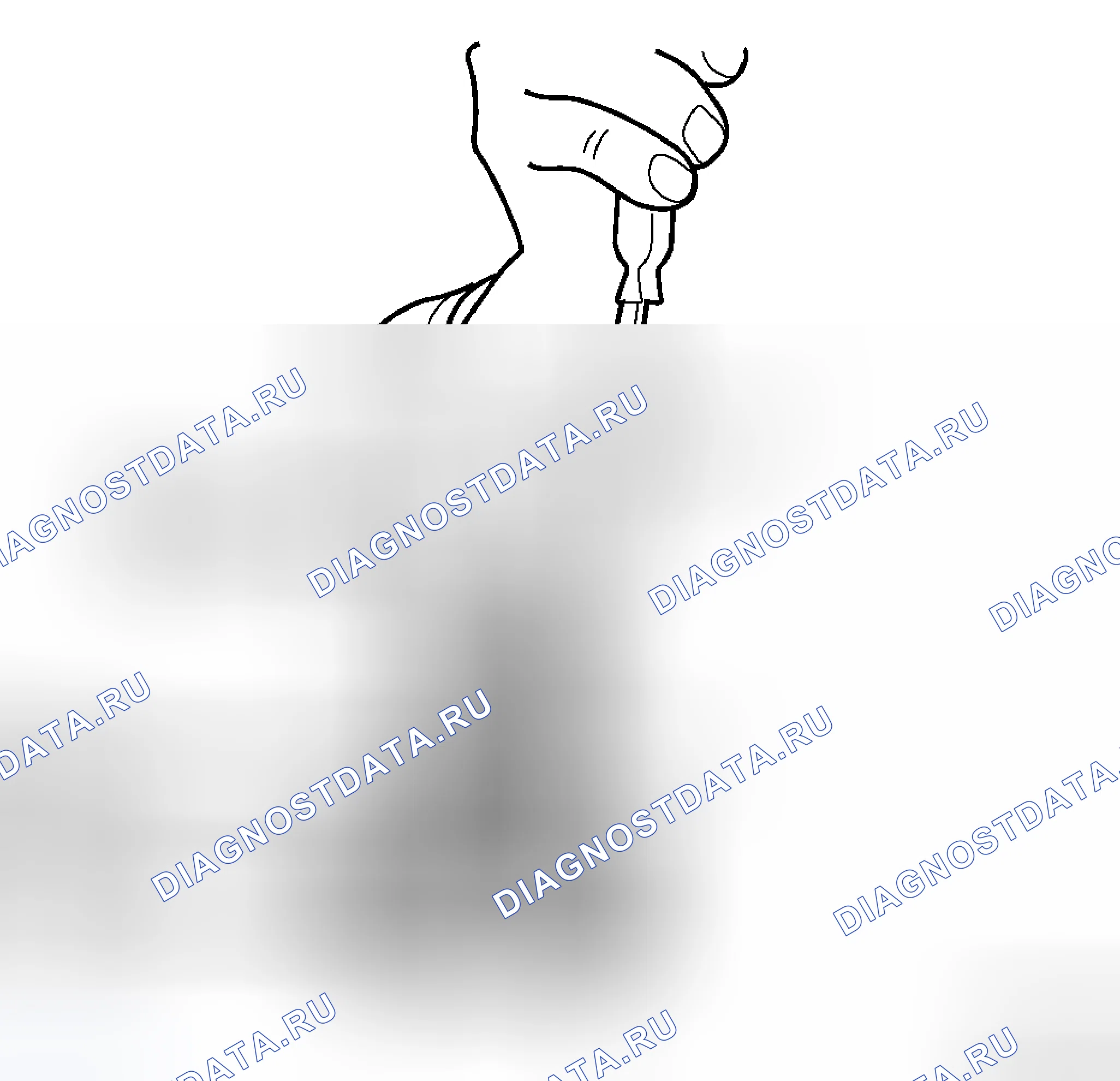 Рис. 109. Dodge Cab & Chassis R3500 HD transition